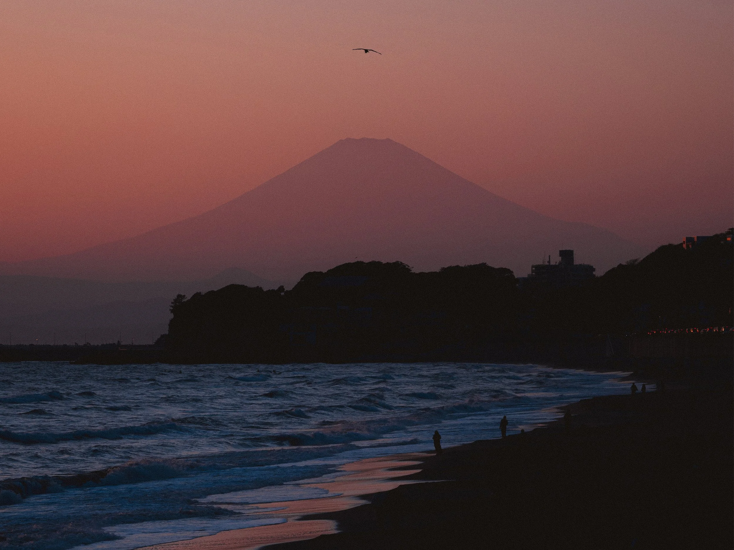 A scene of a beach at sunset with a Mt. Fuji in the background, a few people walking along the shoreline, and a bird flying in the sky.