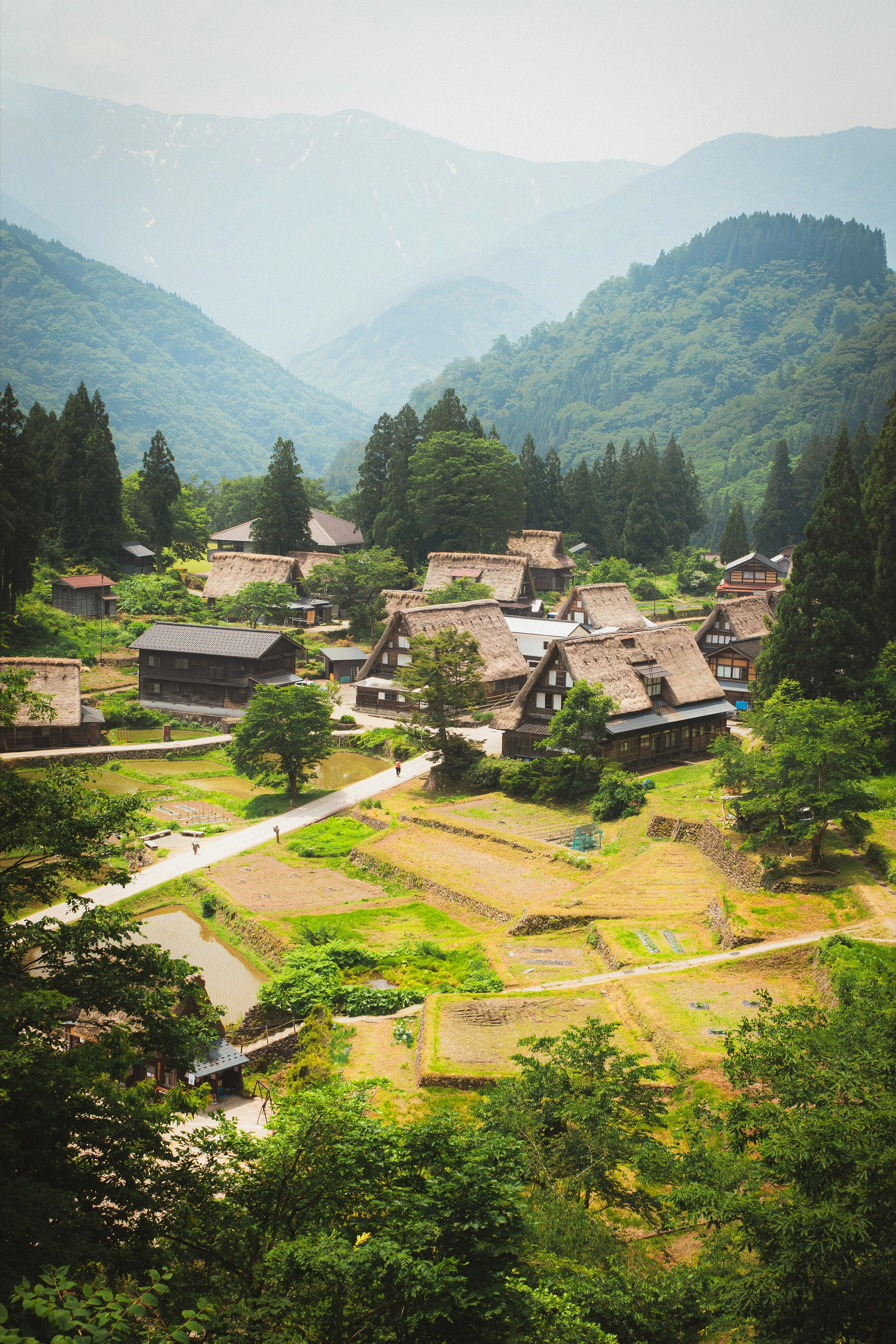 A scenic view of a traditional Japanese village set in lush green mountains, with thatched roof houses and cultivated fields in the foreground.