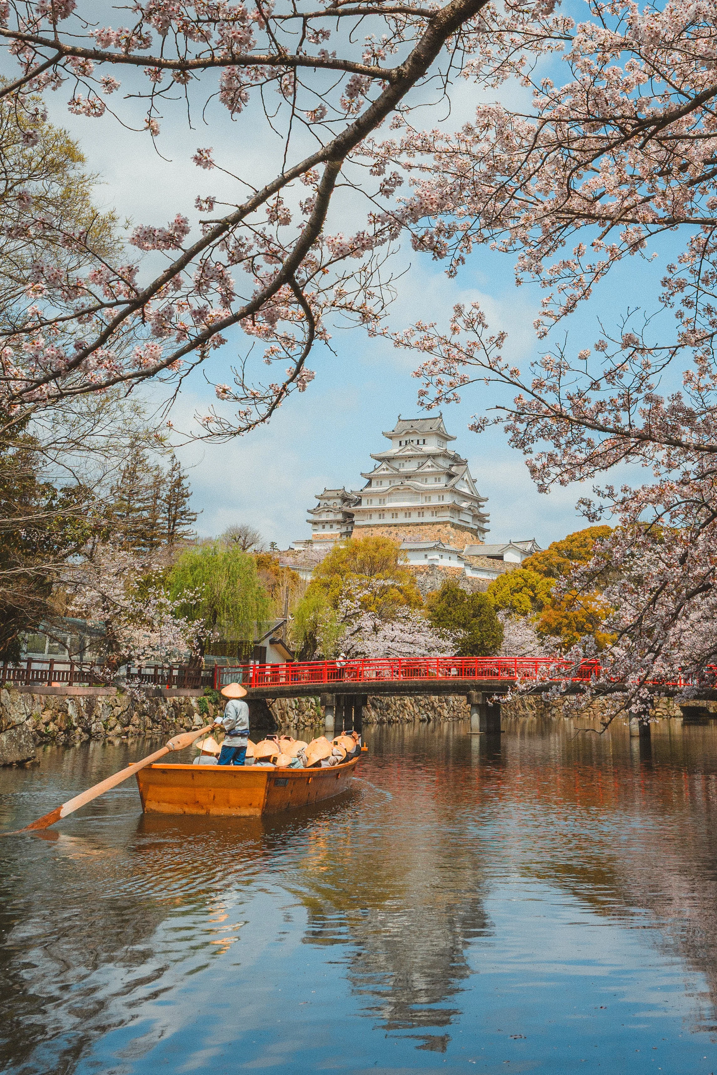 Cherry blossoms in full bloom with a traditional Japanese castle in the background. A boat with a person rowing is on the river, and a red bridge crosses the water.