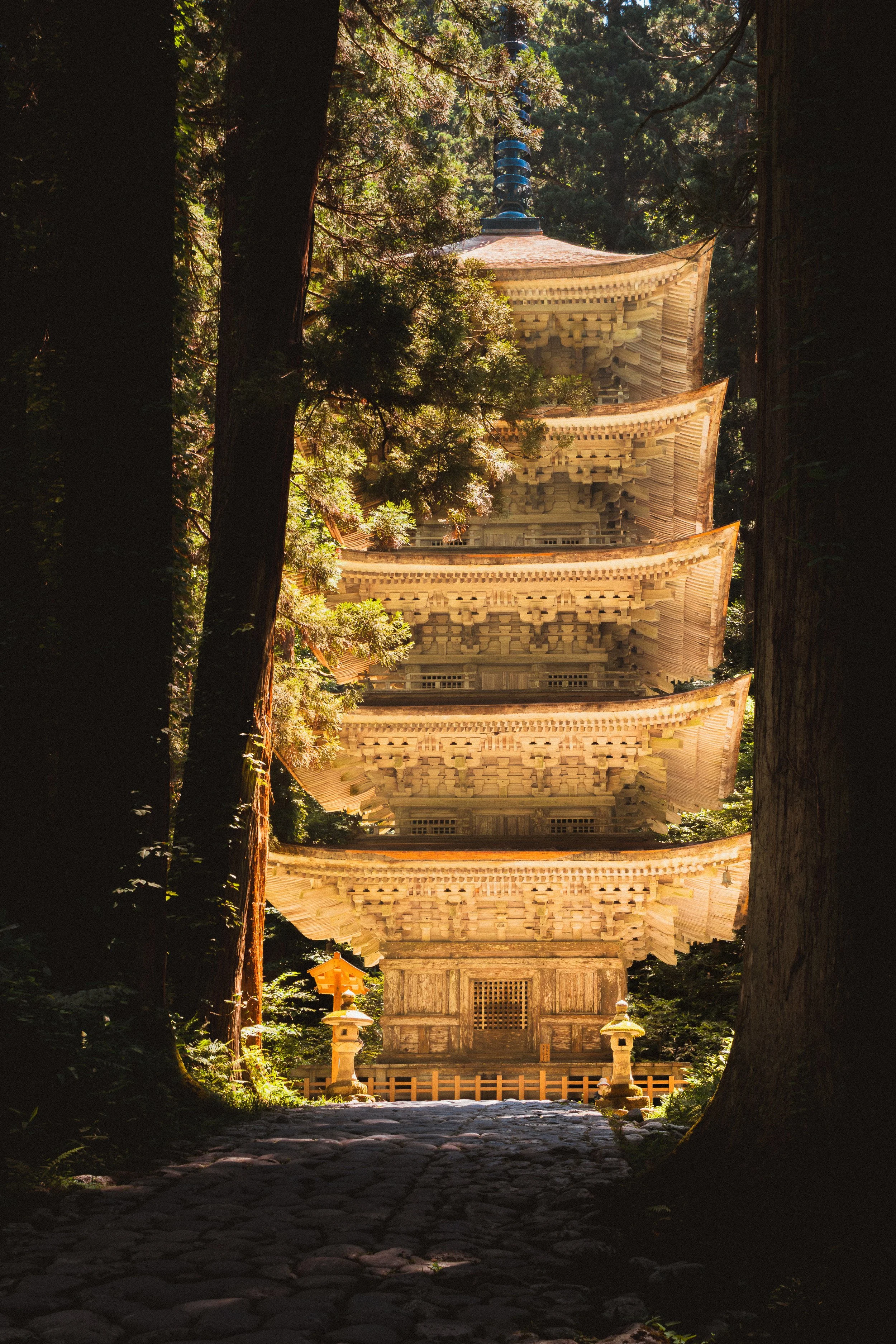 A multi-tiered traditional Japanese pagoda surrounded by trees, with sunlight filtering through the foliage.