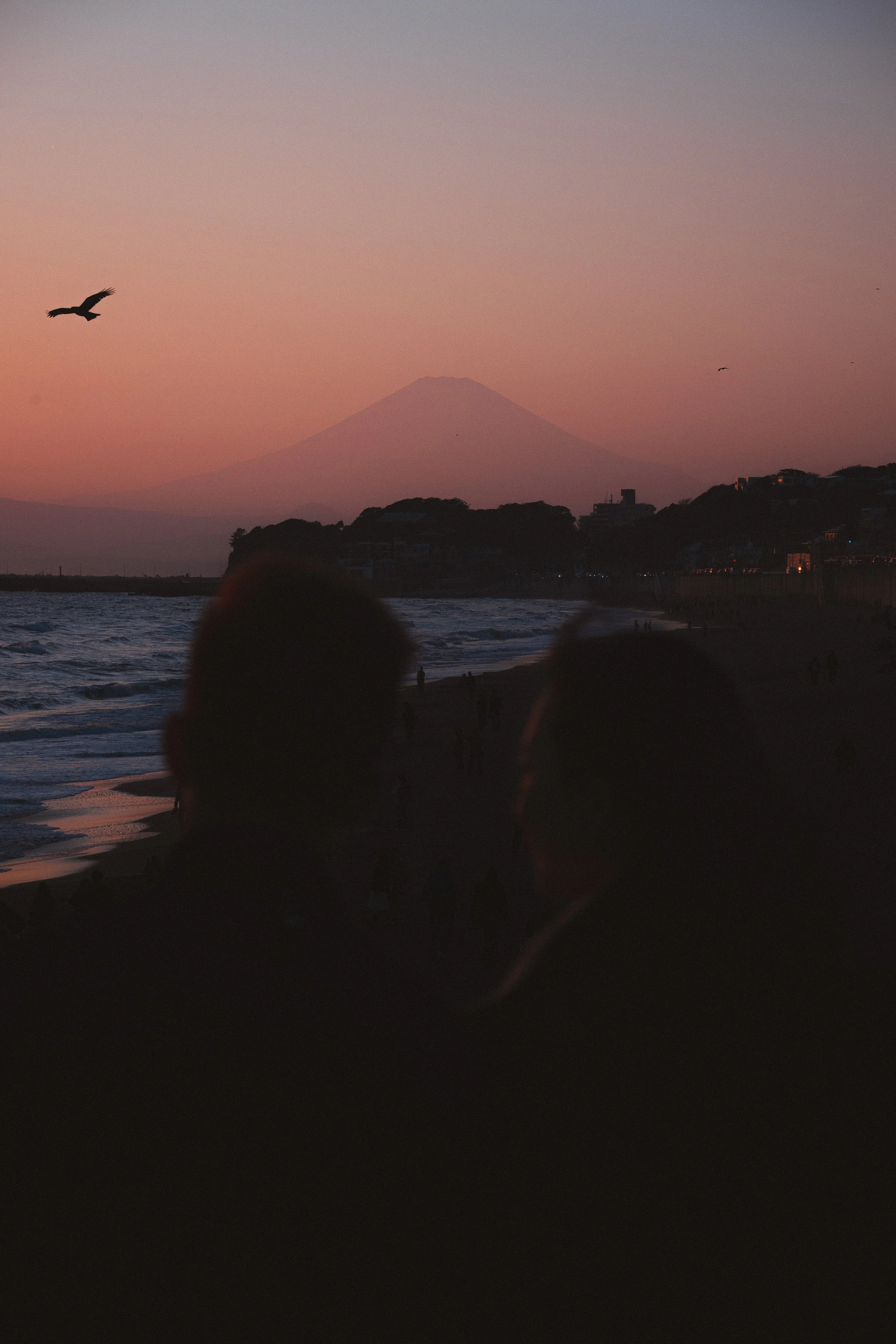 Silhouetted figures on a beach at sunset with a mountain in the background and a bird flying in the sky.