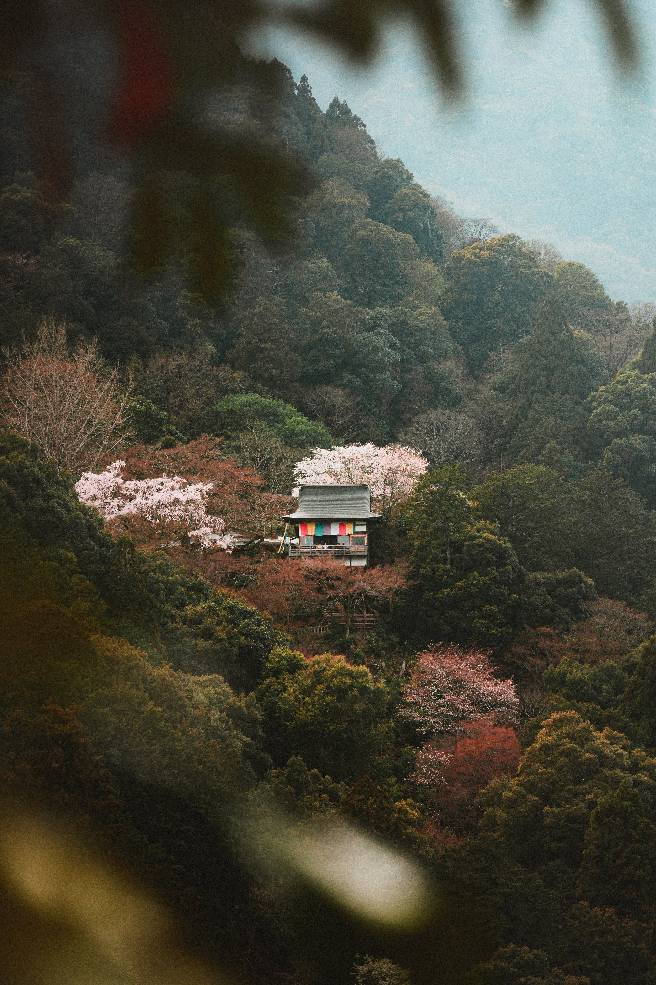 A traditional Japanese building situated among a lush forest of trees, some blooming with pink and white flowers, on a hillside with mountains in the background.