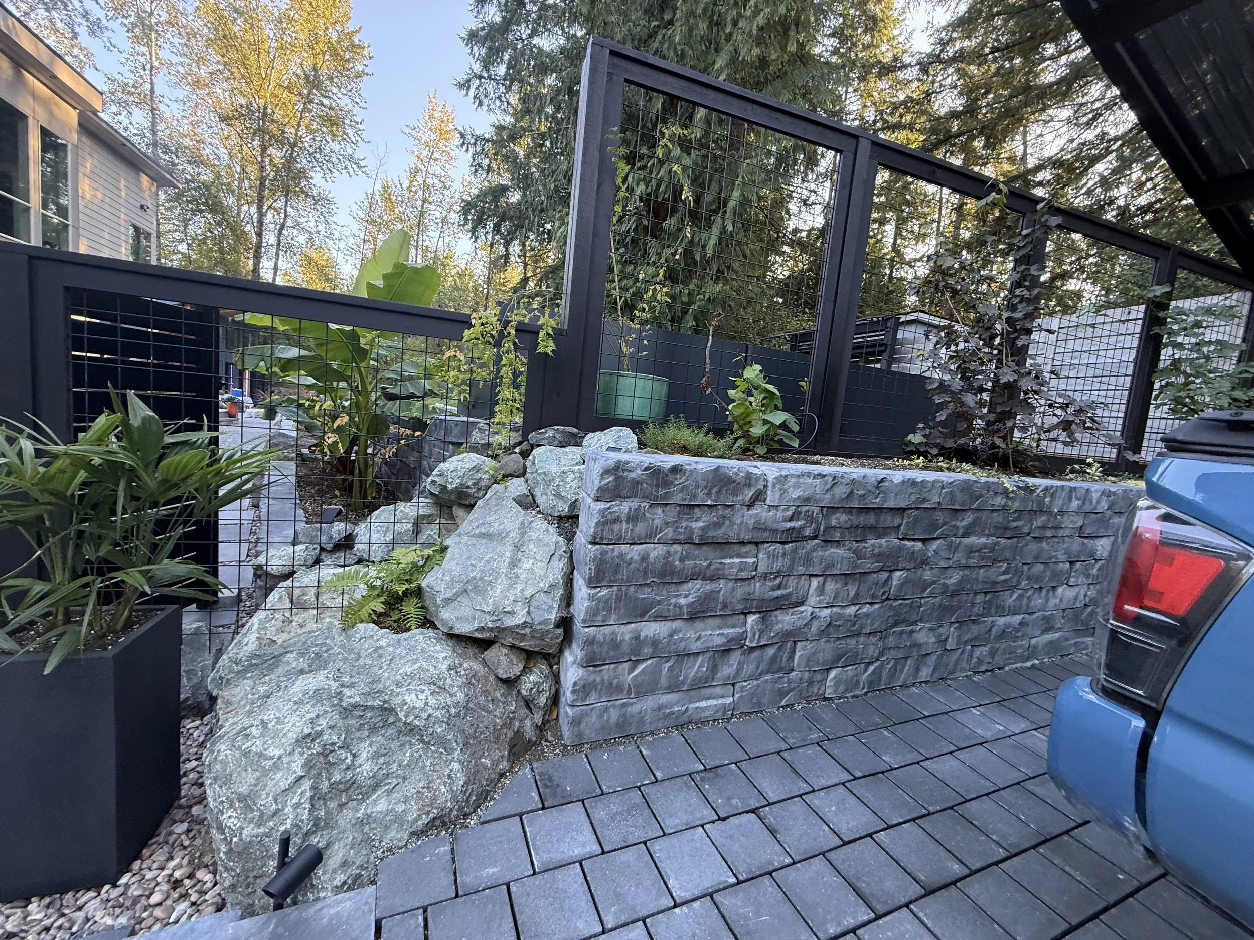 IMG_7954.jpeg