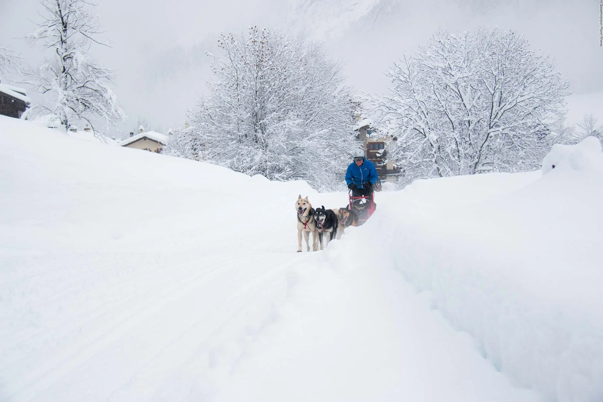 A person dressed in a blue winter jacket and helmet riding a dog sled pulls four huskies through a snowy landscape. The background features snow-covered trees and houses under a cloudy sky.