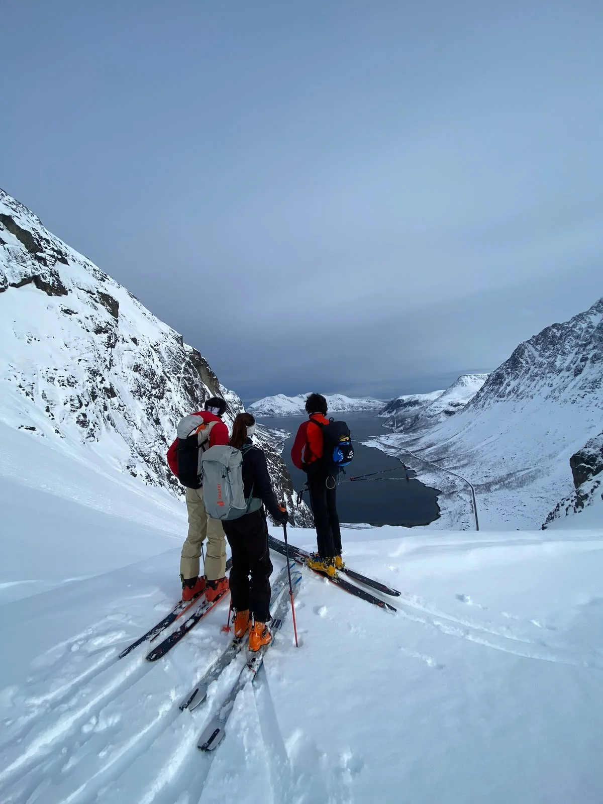 Three skiers standing on snow-covered mountain overlooking a fjord, surrounded by snow-capped mountains under a cloudy sky.