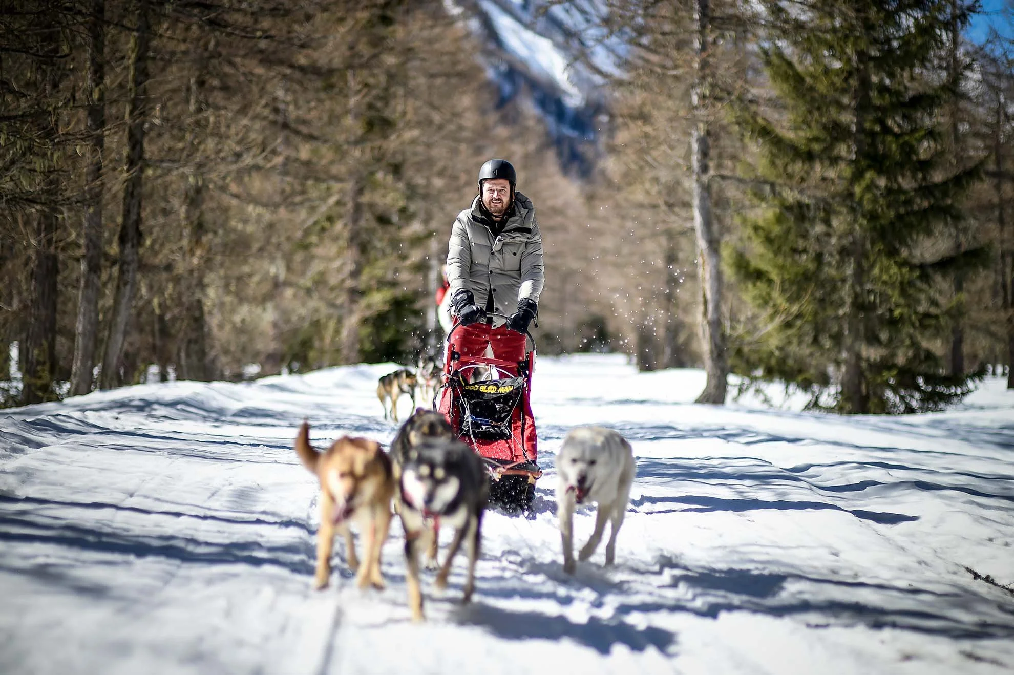 A man wearing a helmet and winter clothing riding a dog sled in snowy forest, with huskies pulling the sled.