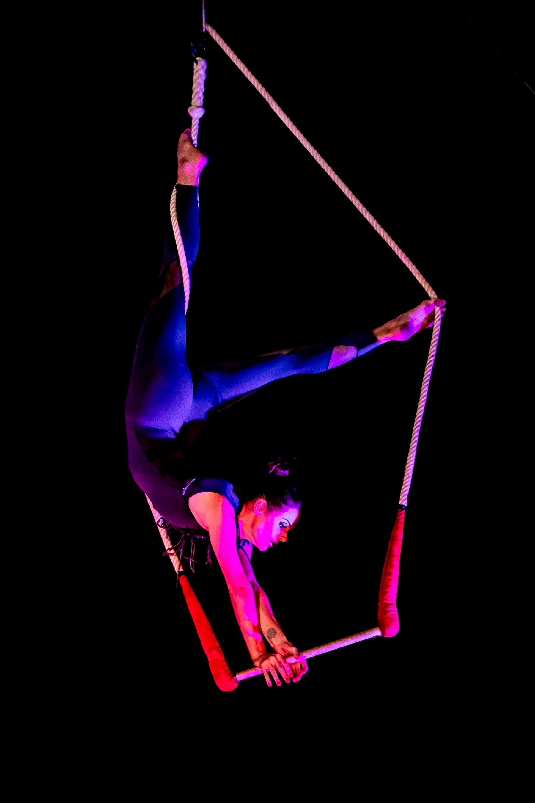 cirque+vida+social+size-09.jpg