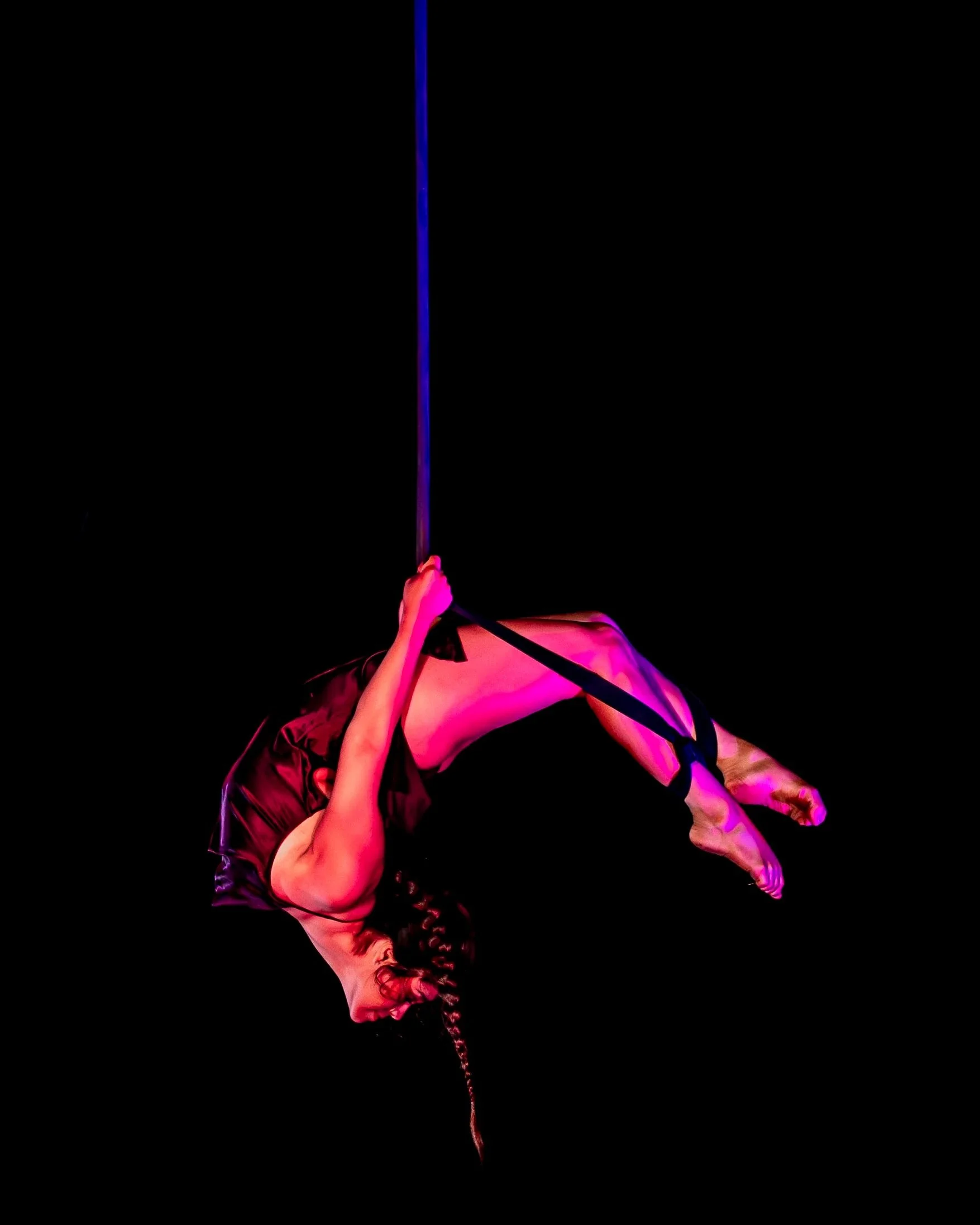 cirque+vida+social+size-11.jpg