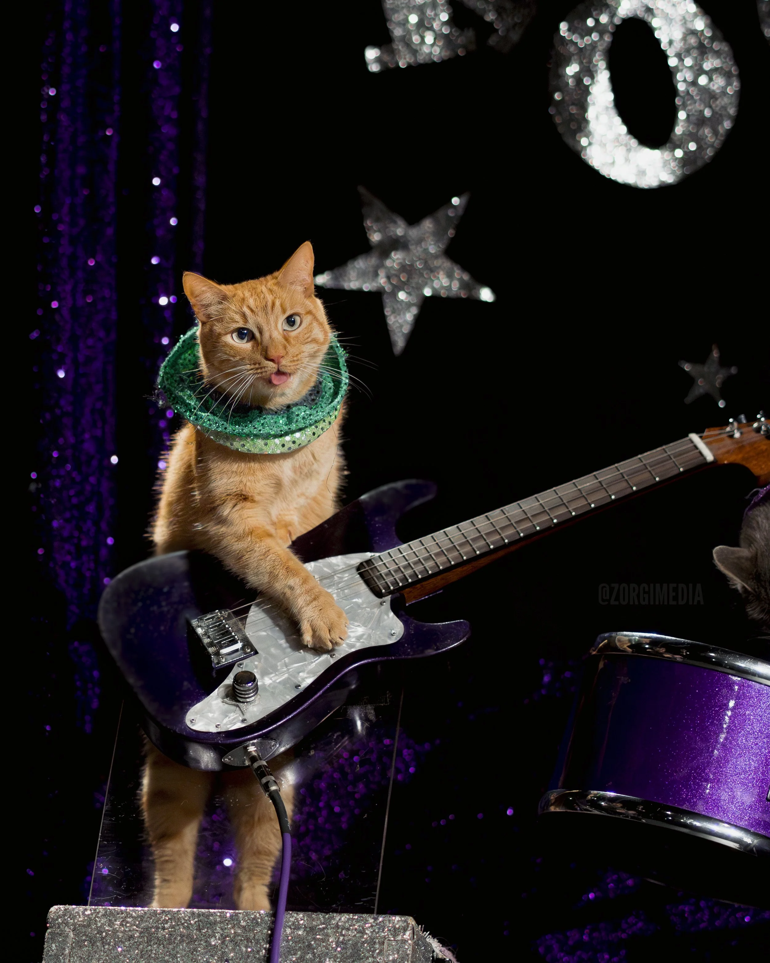 Amazing Acrocats full size-14.jpg