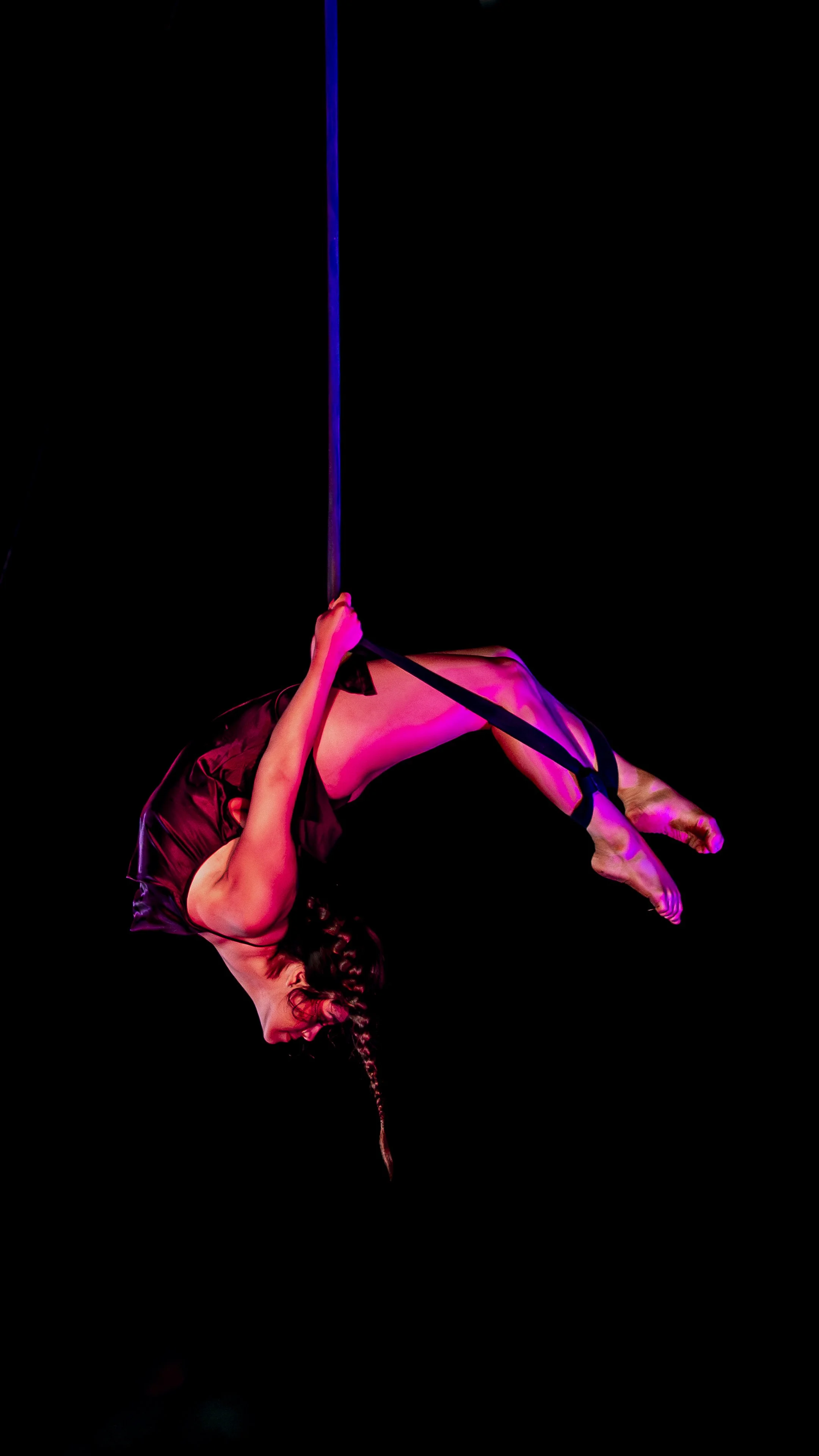 cirque vida social REELs-11.jpg