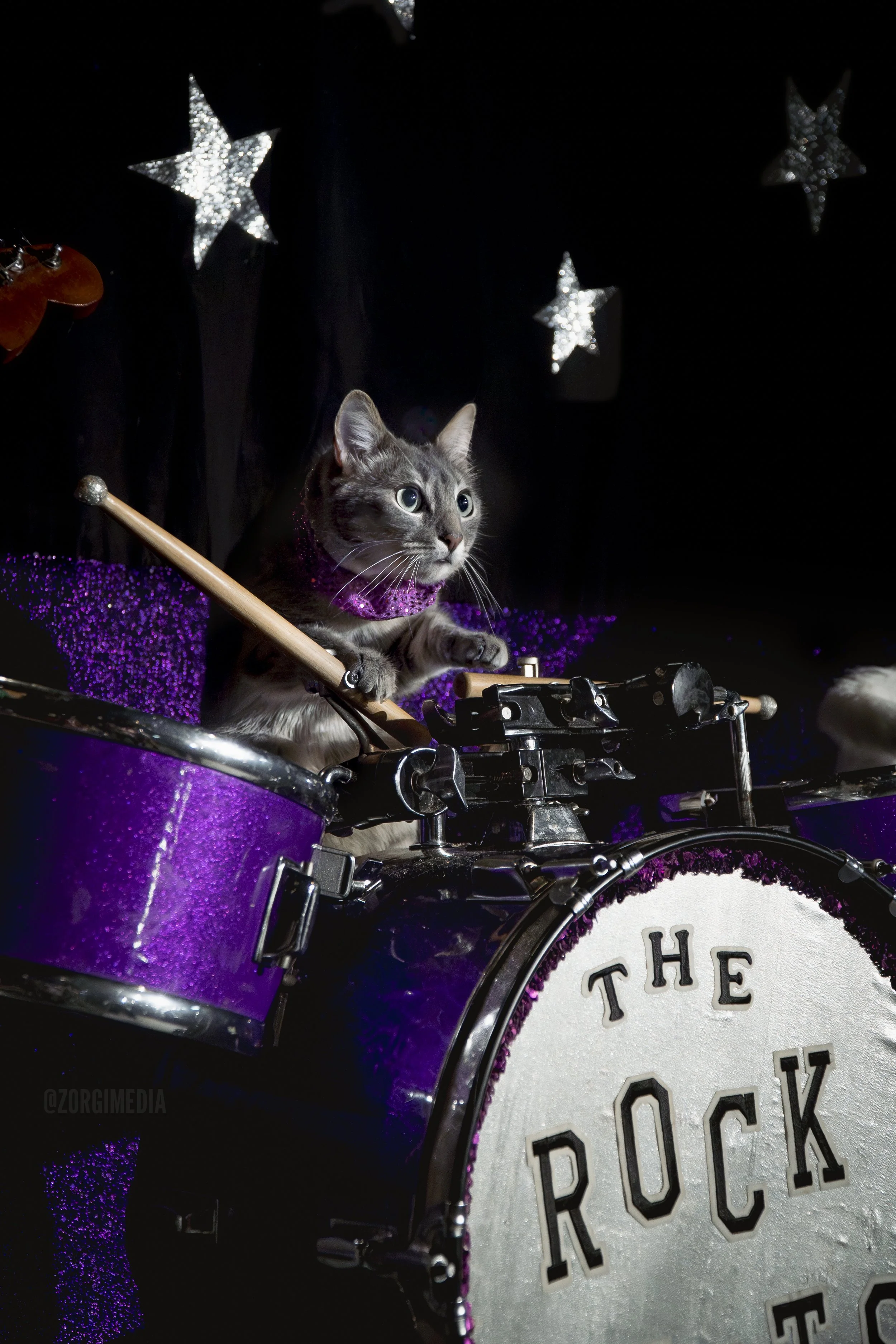 Amazing Acrocats full size-28.jpg