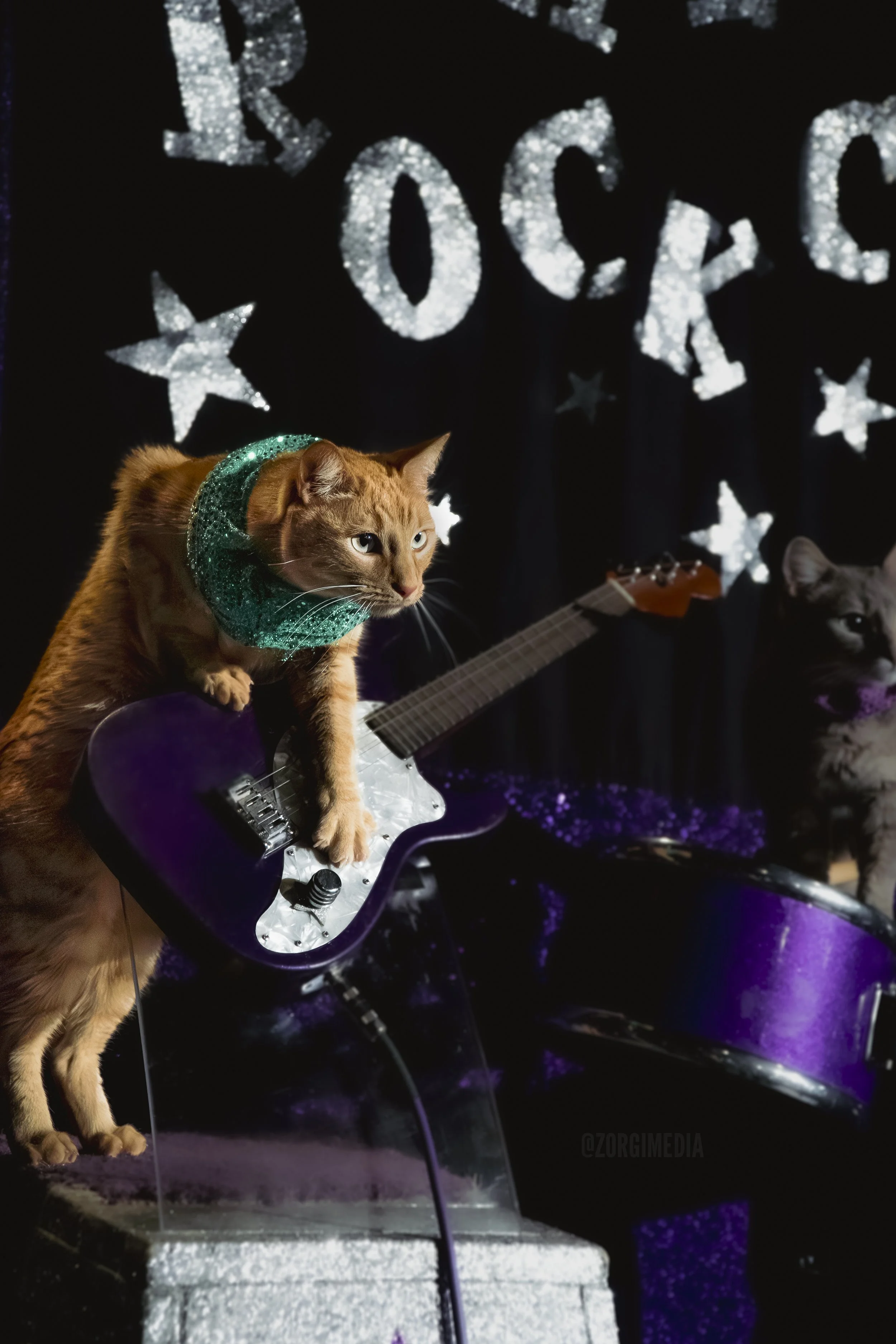 Amazing Acrocats full size-24.jpg