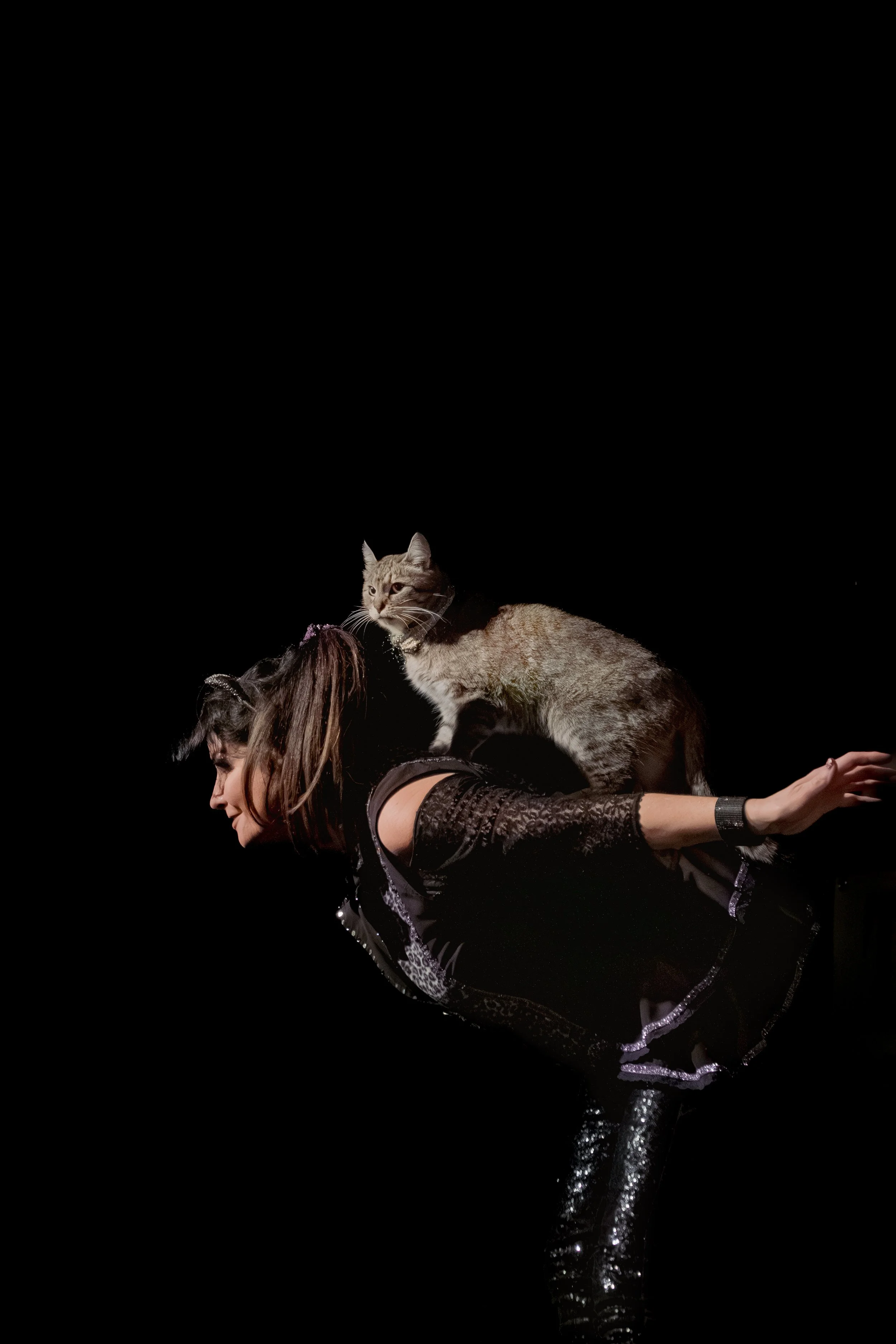 acrocats full size-04.jpg