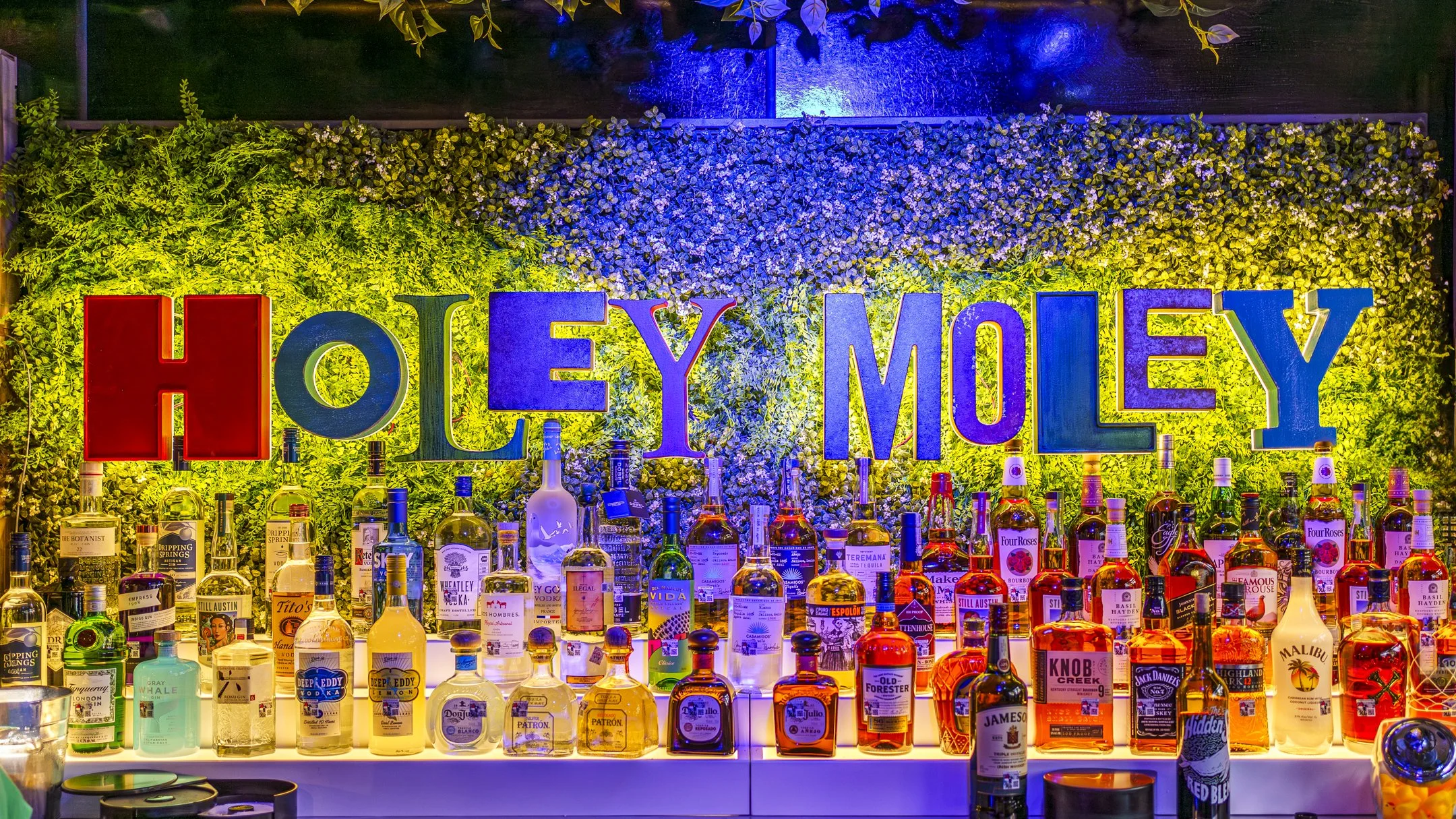 Holey Moley_Austin Launch_Social-155.jpg