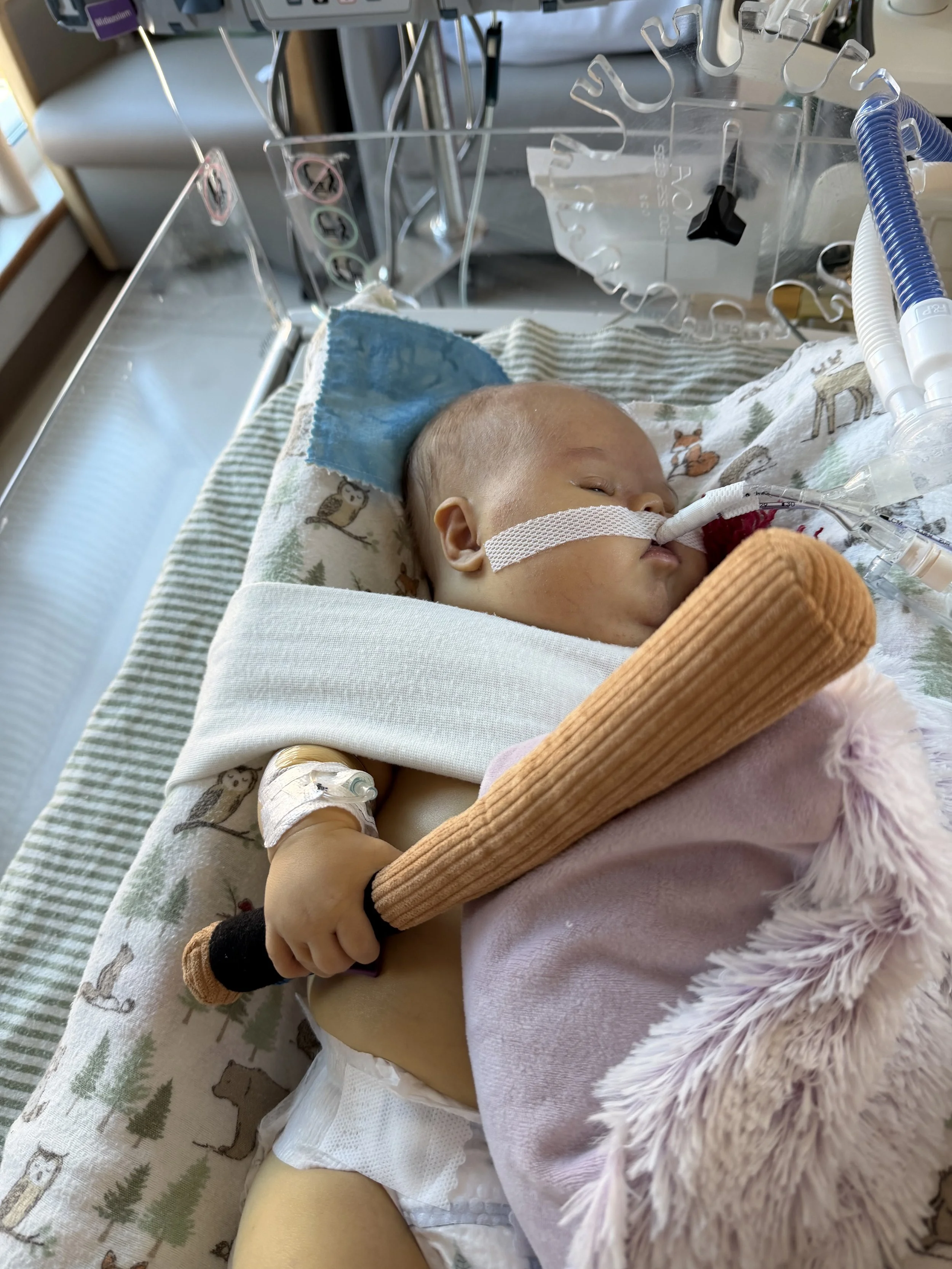 A baby lying in a hospital bassinet, connected to medical equipment, with a nasal oxygen tube, wearing a pink outfit, and holding a stuffed plush toy.