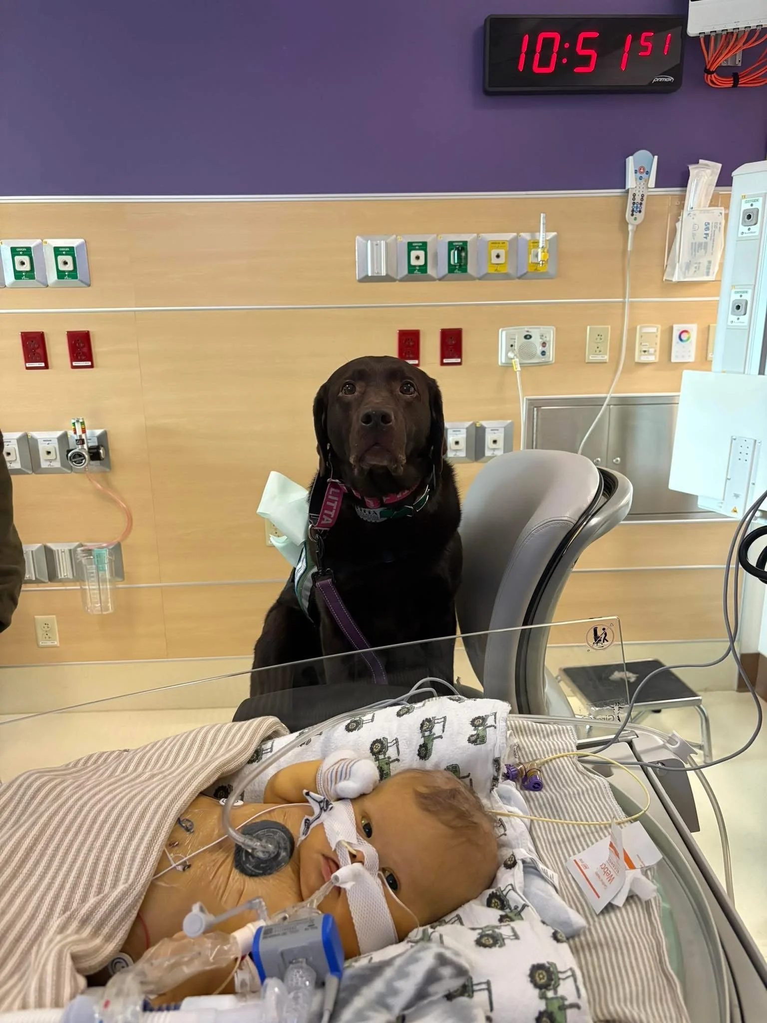 A young boy lying in a hospital bed connected to medical equipment, with a brown dog sitting nearby in a hospital room.