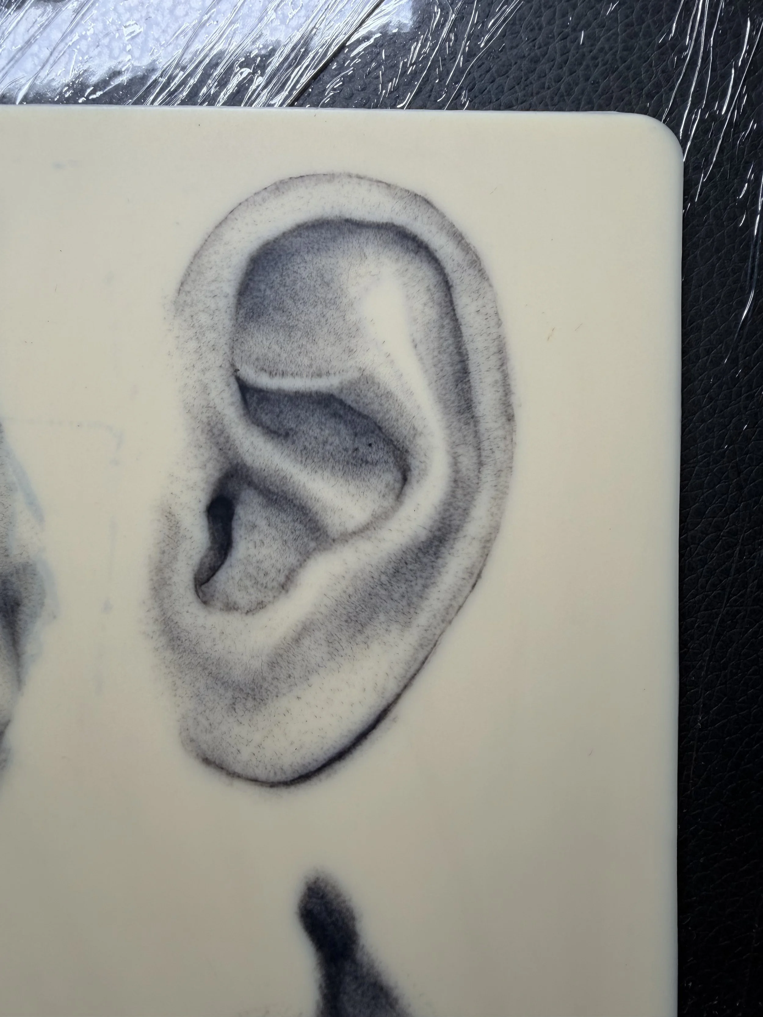 Ear study, tattoo on fake skin.