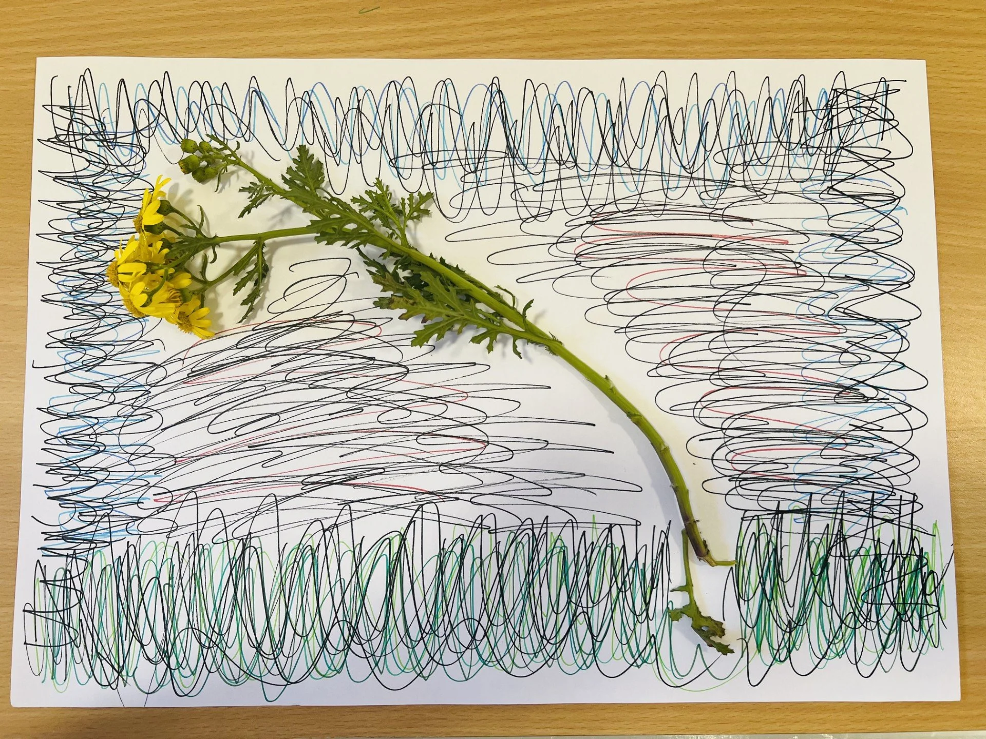 Colorful scribbles on a sheet of paper with a yellow flower and green stem laid across it, on a wooden surface.