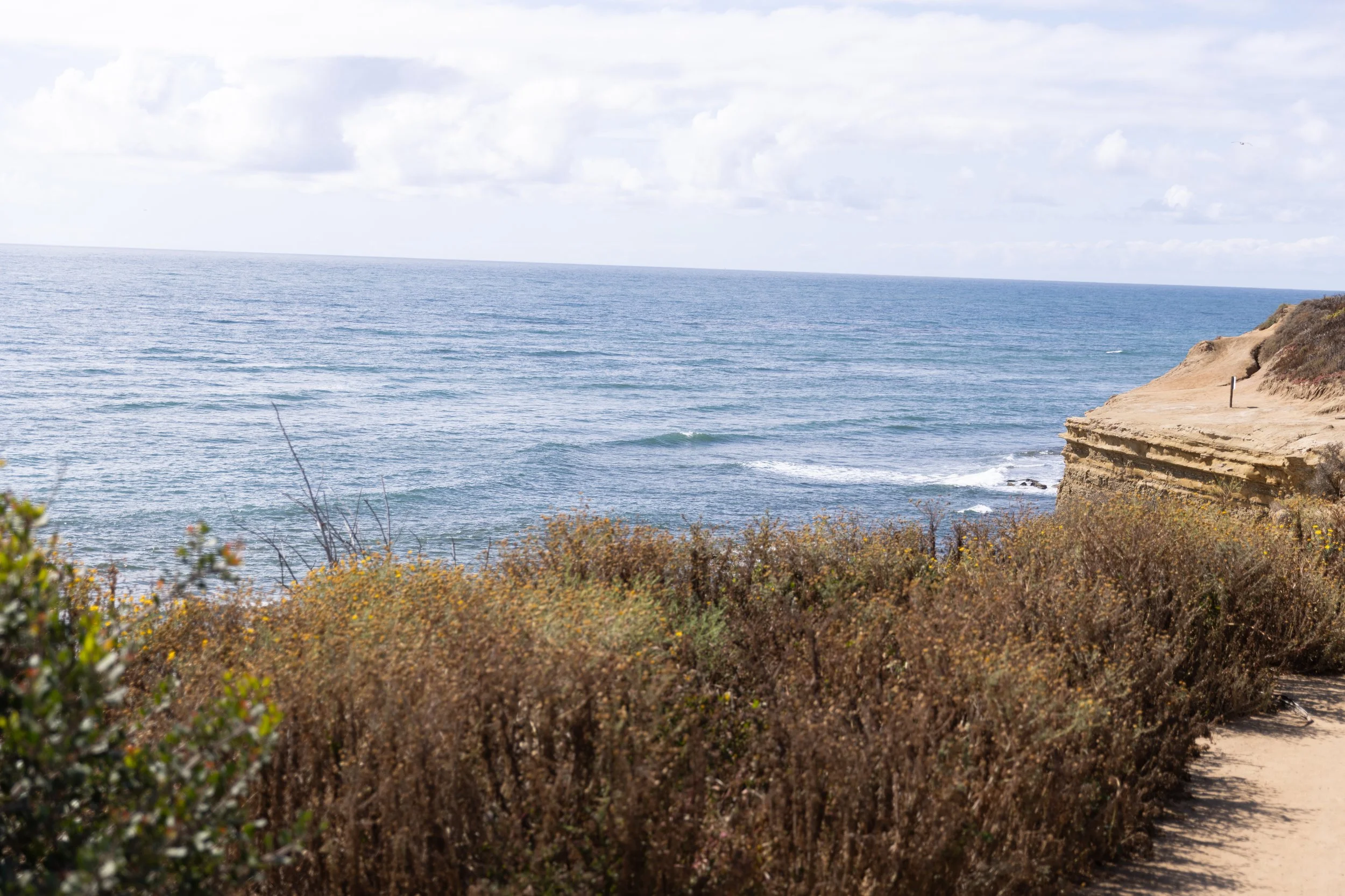 Therapist in San Diego California