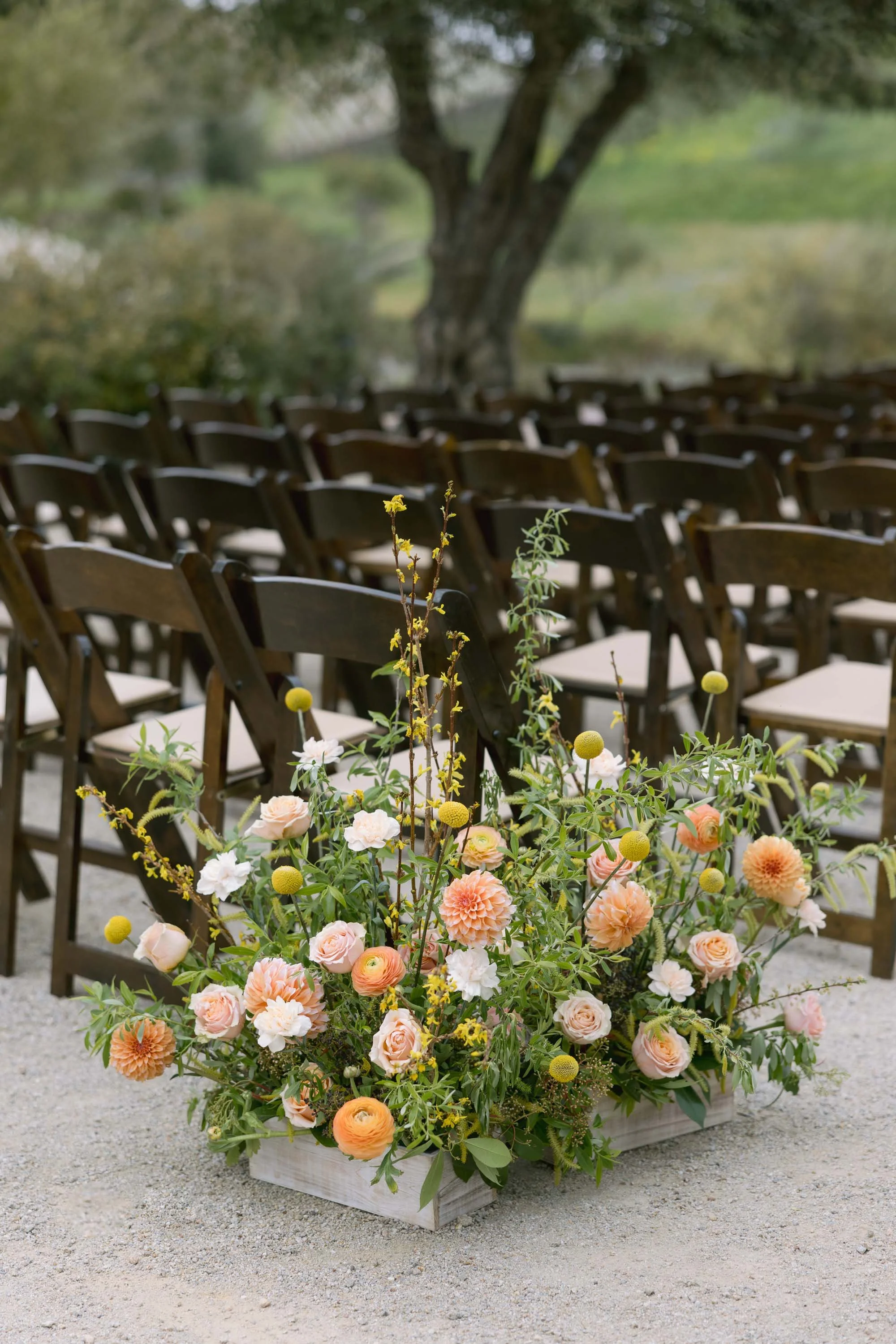 ellerenderevents.com | Elle Render Events Wedding Design and Planning | Niner Wine Estates Paso Robles Weddings  7 (1).jpg