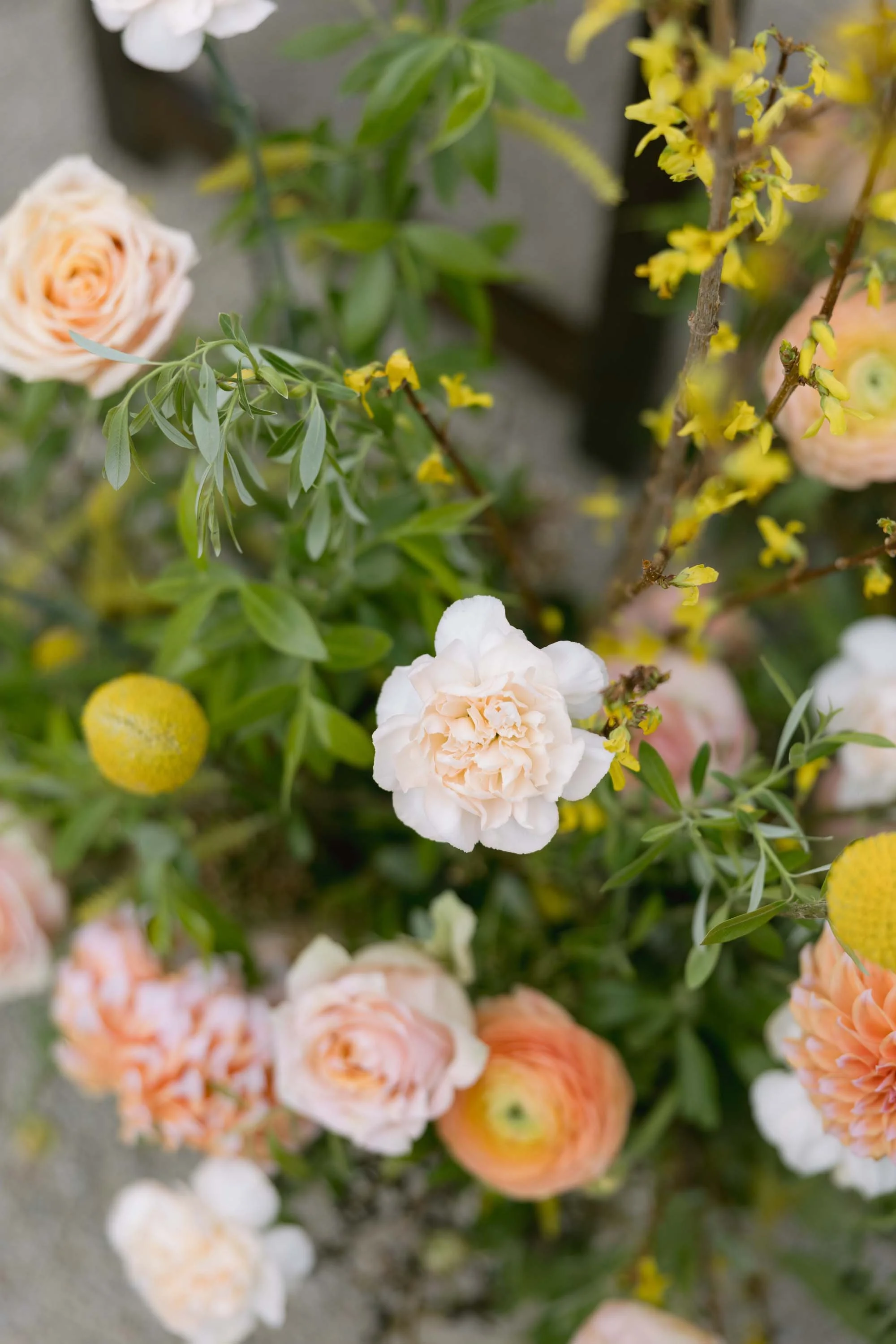 ellerenderevents.com | Elle Render Events Wedding Design and Planning | Niner Wine Estates Paso Robles Weddings  5 (1).jpg