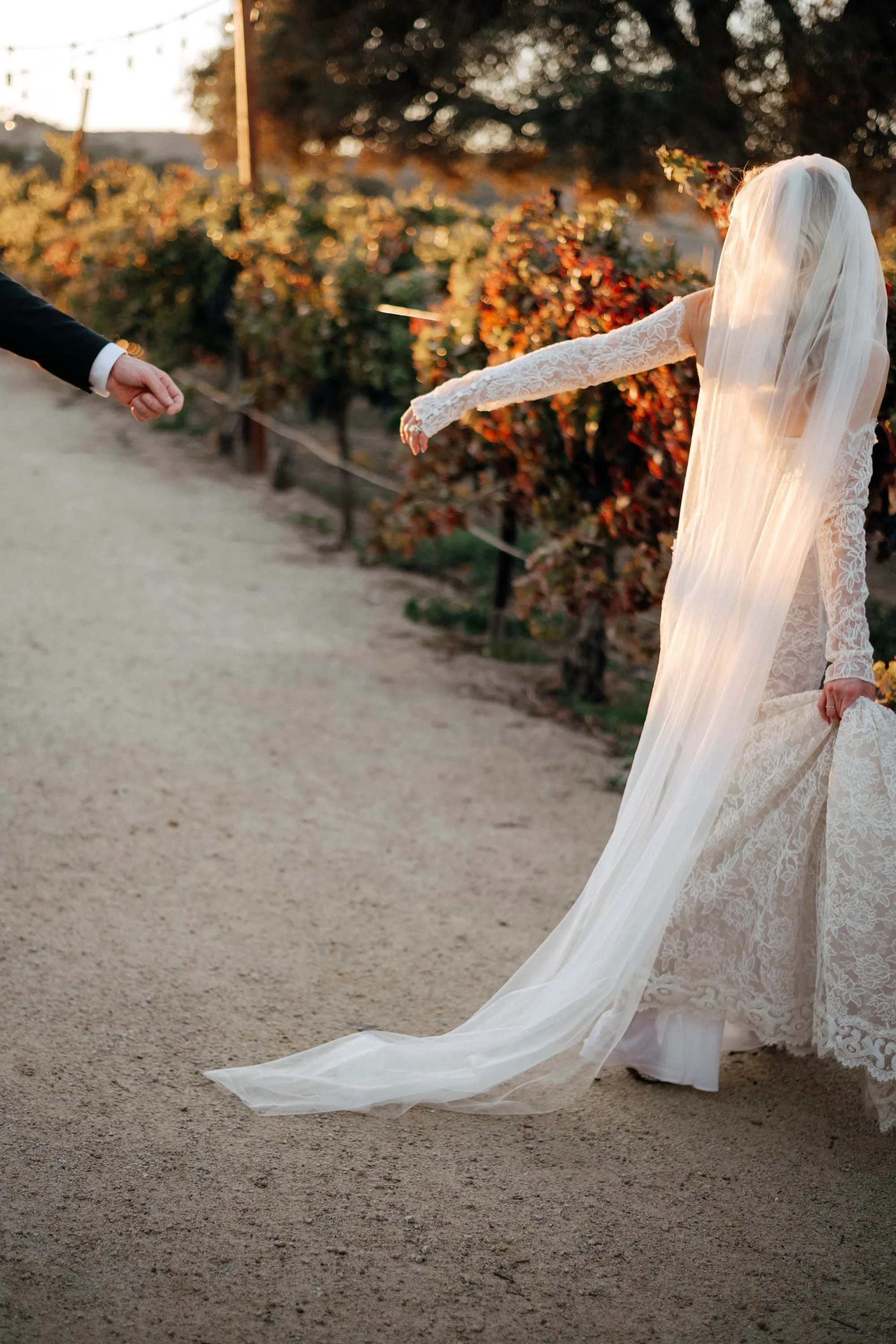 ellerenderevents.com | Elle Render Events Wedding Design and Planning | Cass Winery Weddings Paso Robles California | Sefra Kay Photography  8.jpg