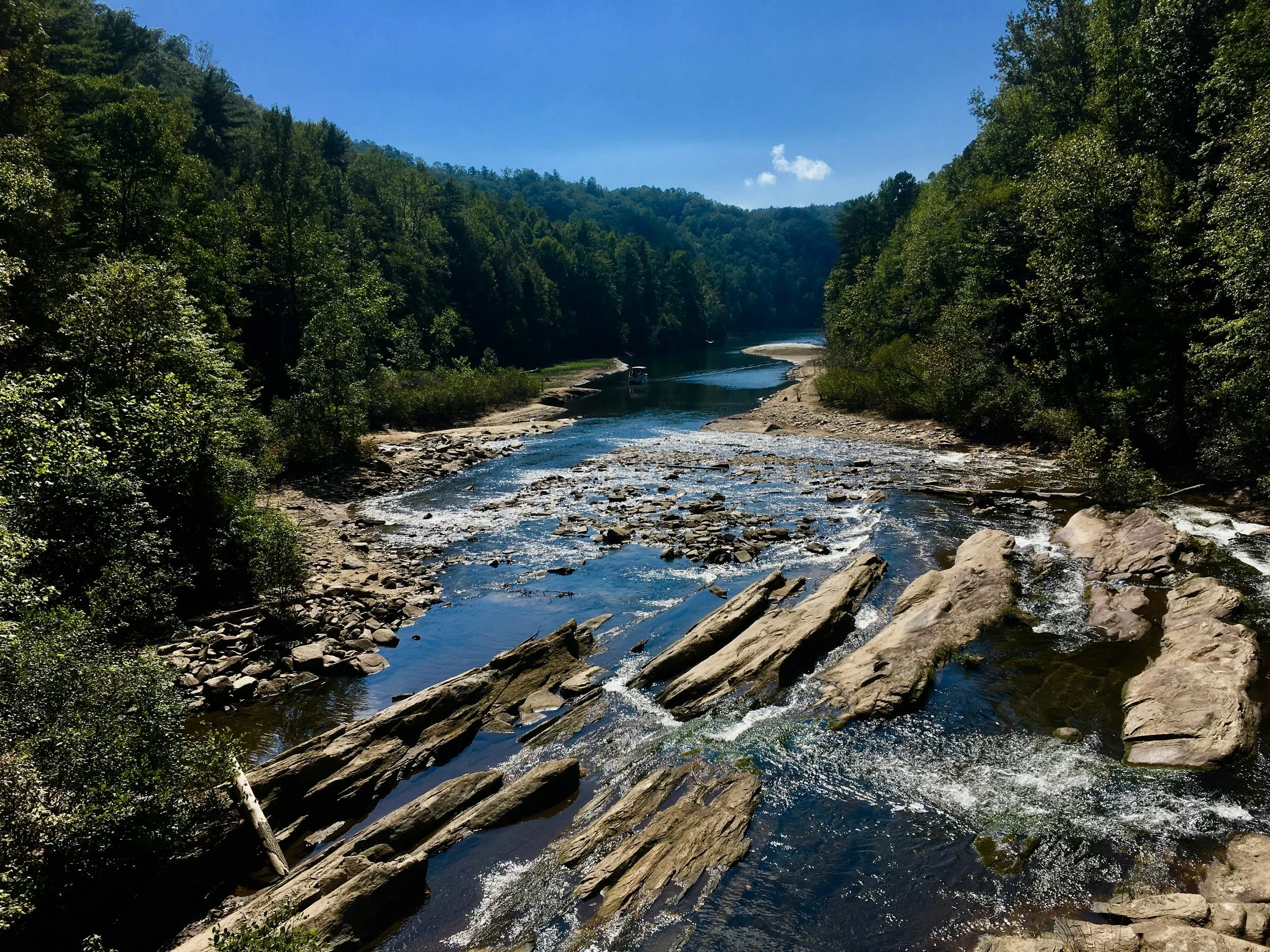 A scenic view of a river running through a lush green forest with mountains in the background under a clear blue sky.