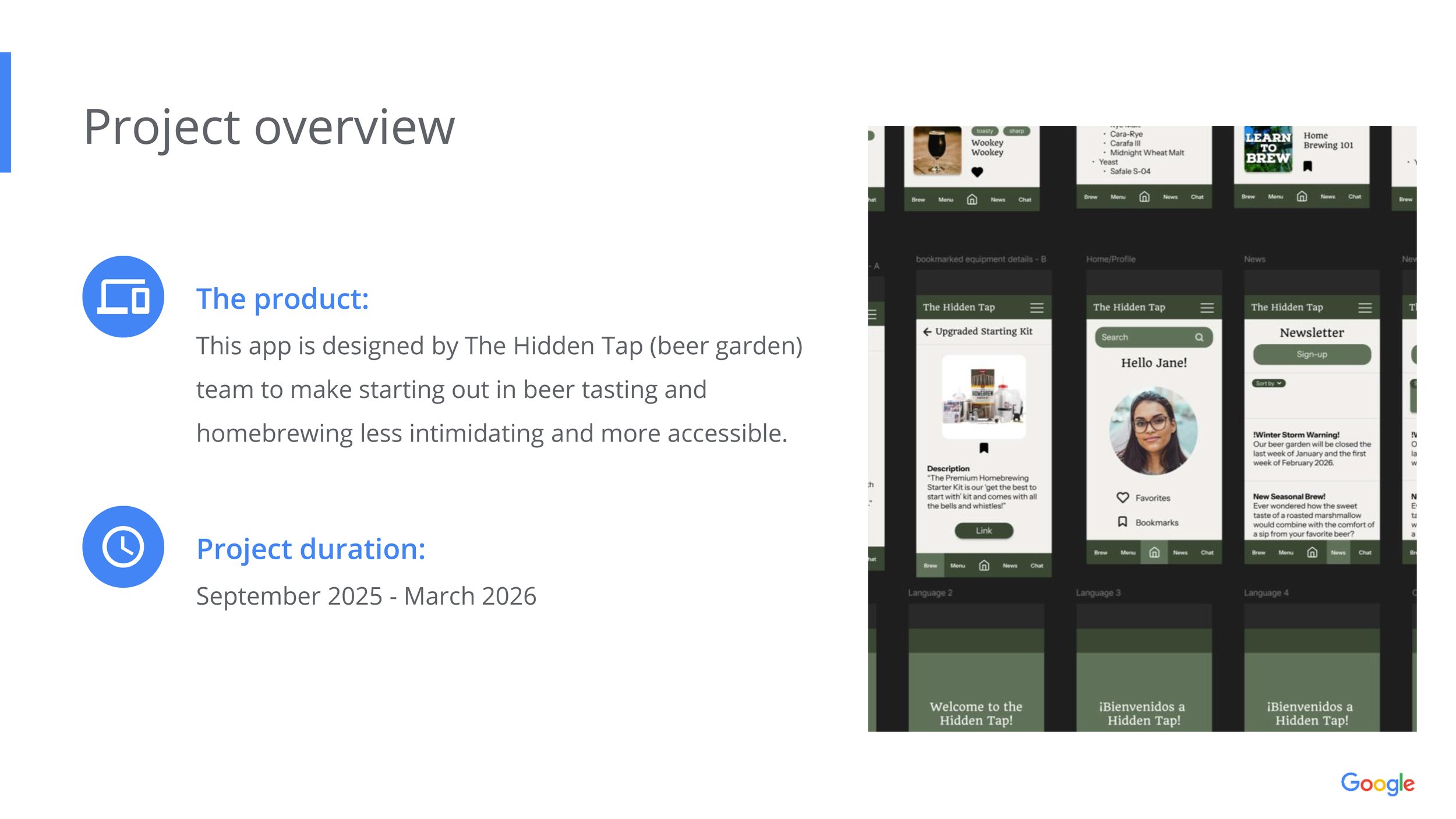 project preview overview (slide 2/43)