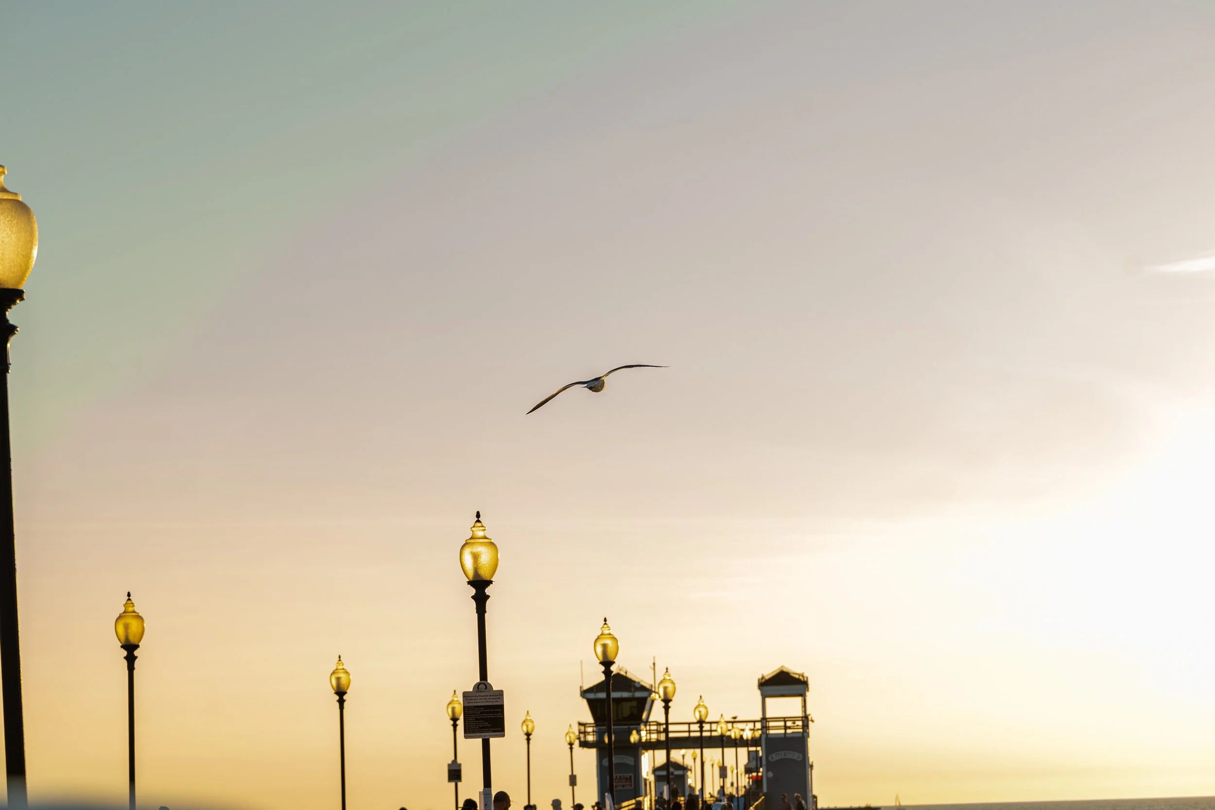 Trip5_RS-25.jpg