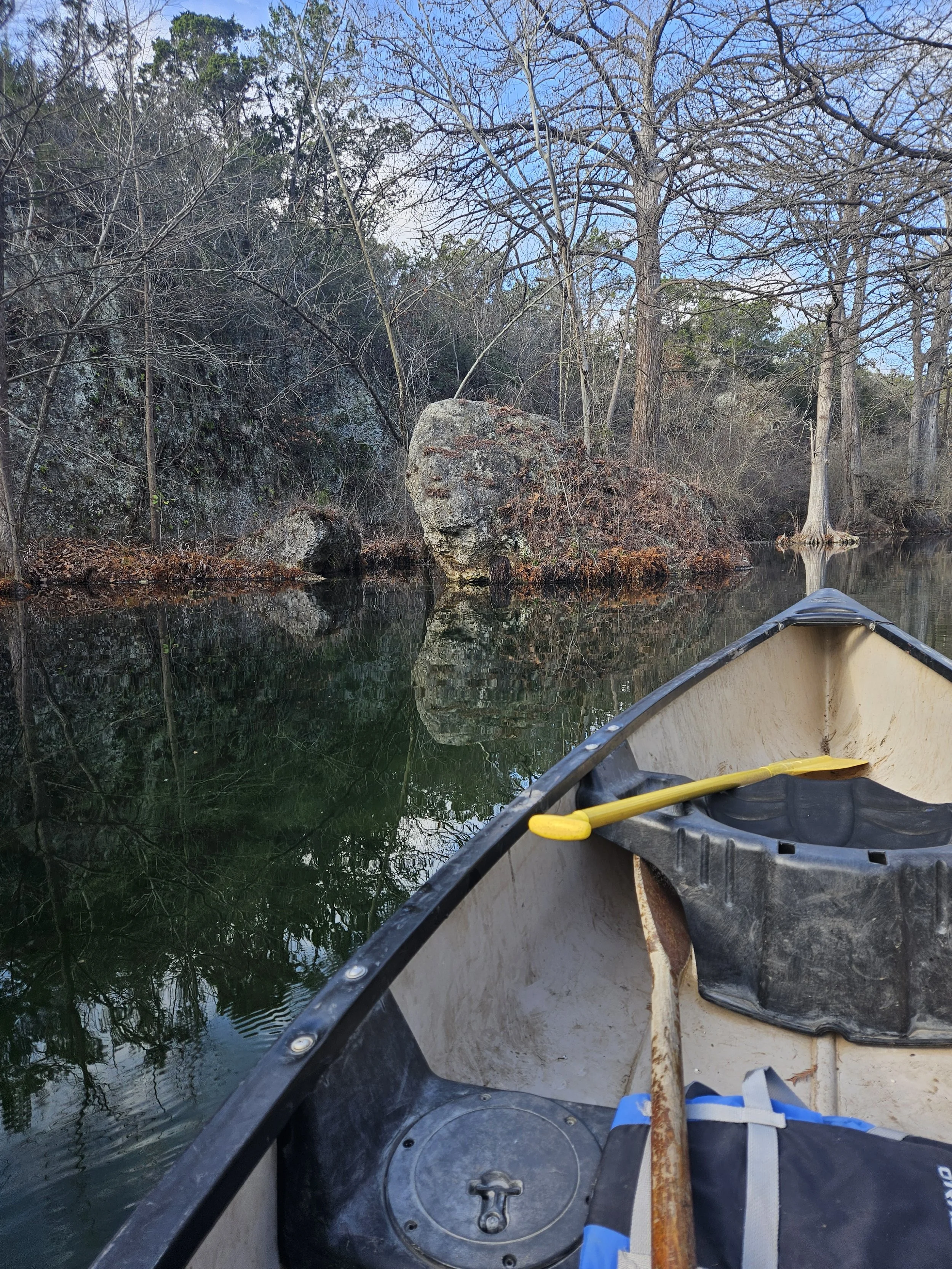 Women in the Woods Series: Beyond the Basics: Natural Awareness- Building a Deeper Relationship with the Land