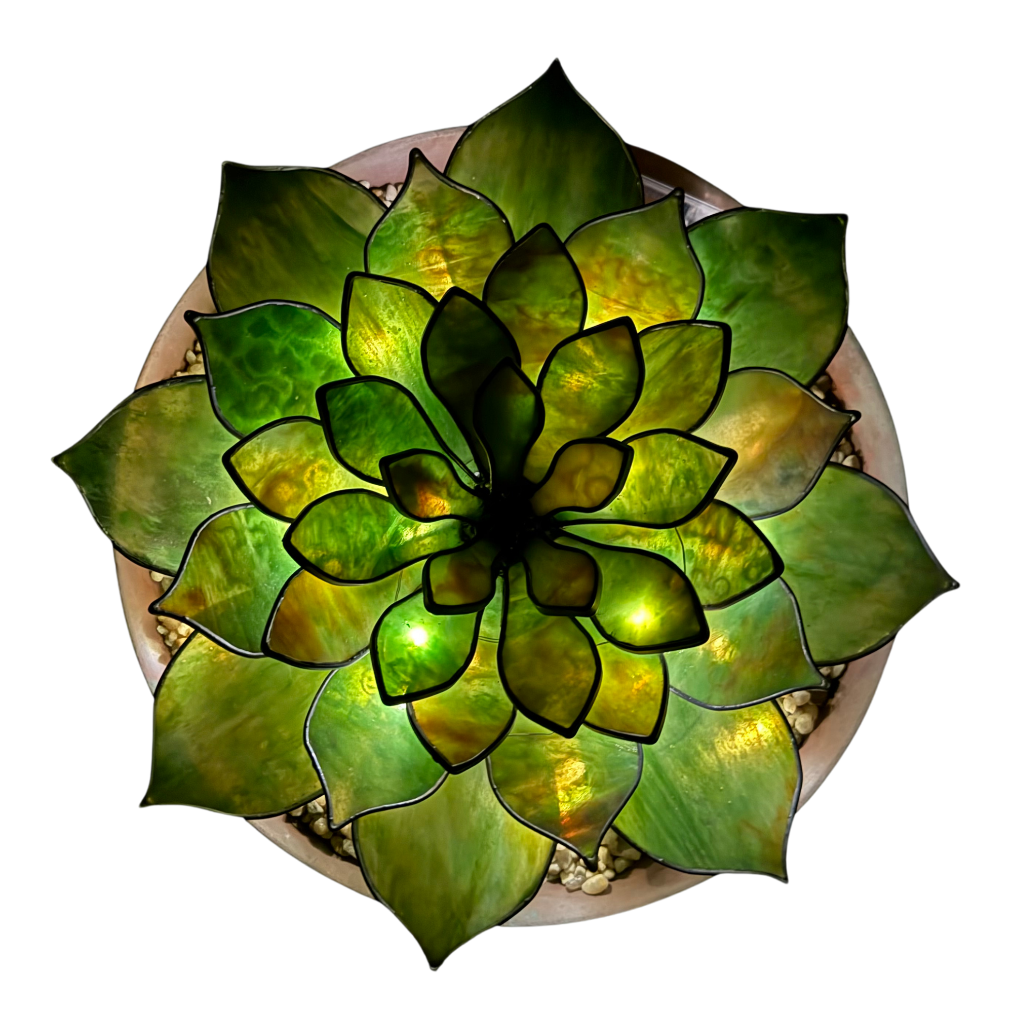 Untitled design-6.png