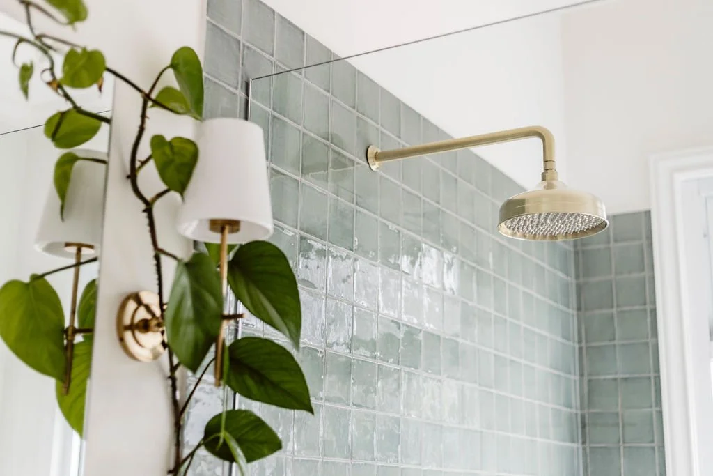 Close-up of a showerhead mounted on a tiled bathroom wall with a green leafy plant and light fixture in the foreground.