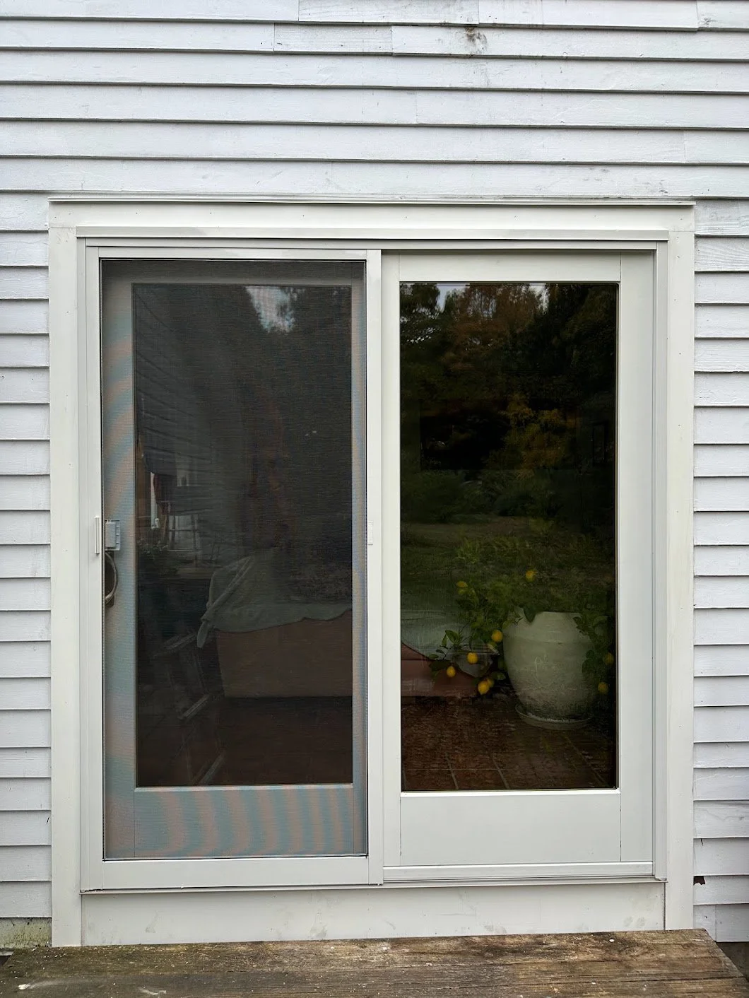 Sliding glass door with white frame, outside view of a potted plant with yellow lemons, white wooden house siding.