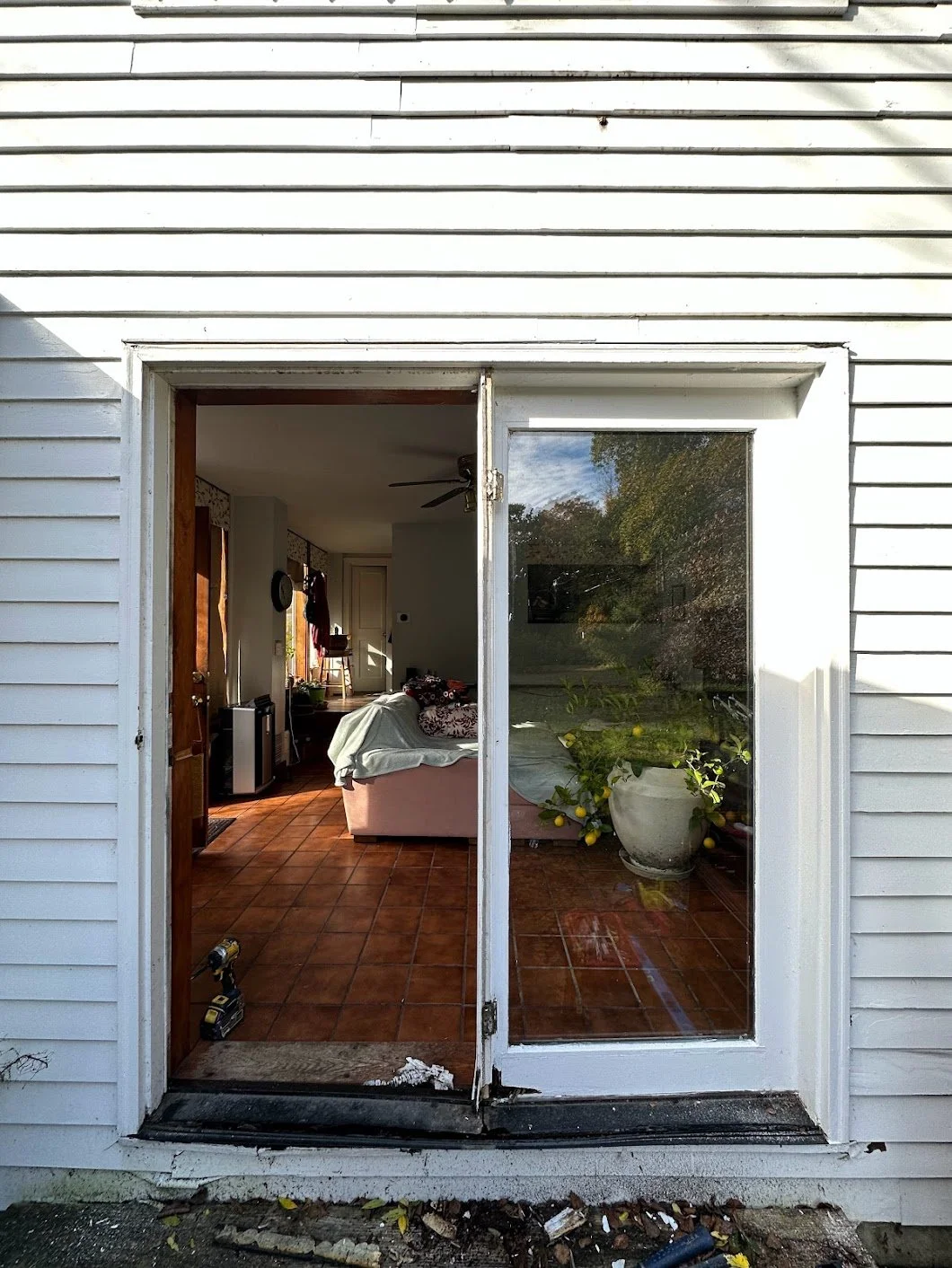 View through glass sliding door into living room with sofa, plants, and ceiling fan, outside showing garden or yard with tree and lemon tree