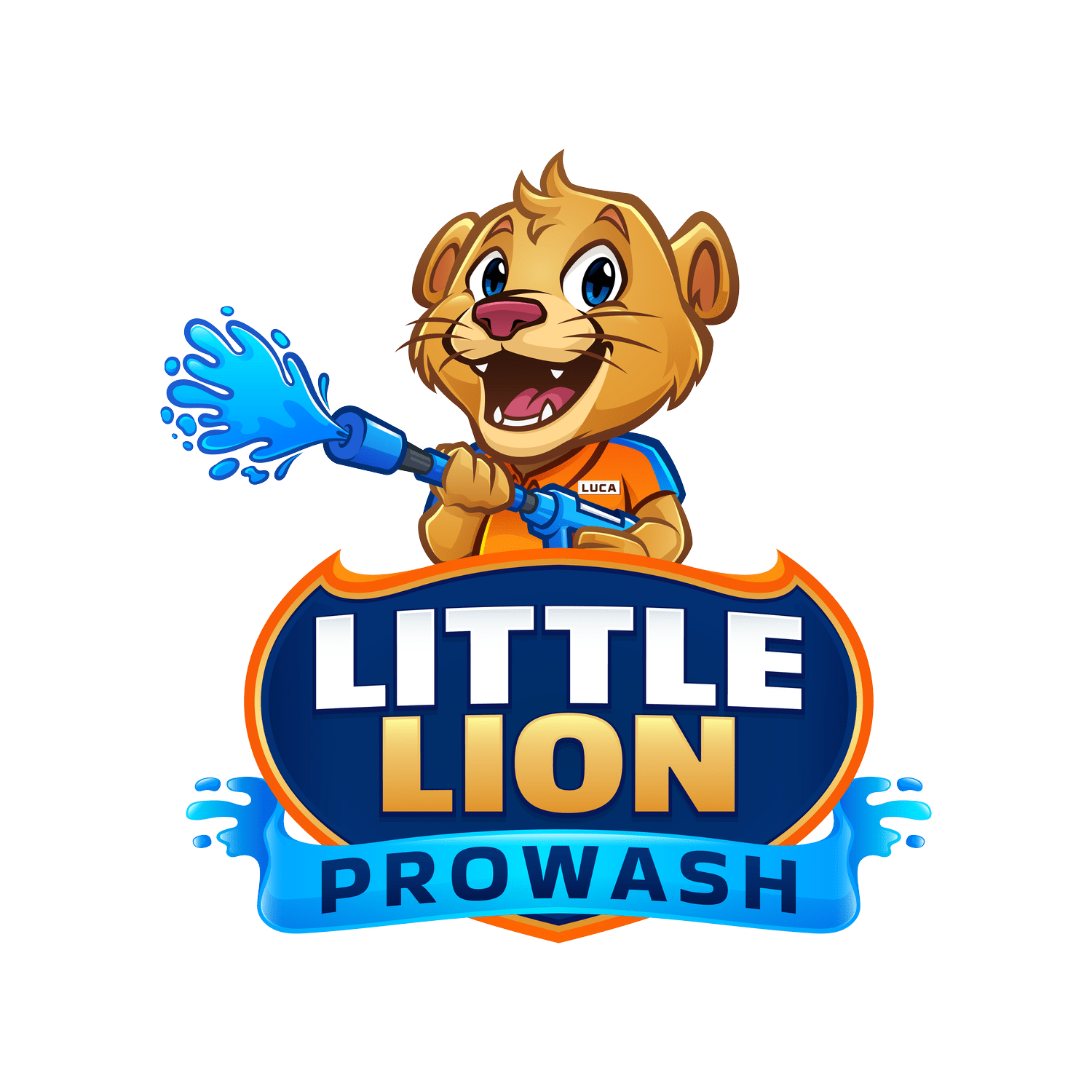 Little Lion ProWash