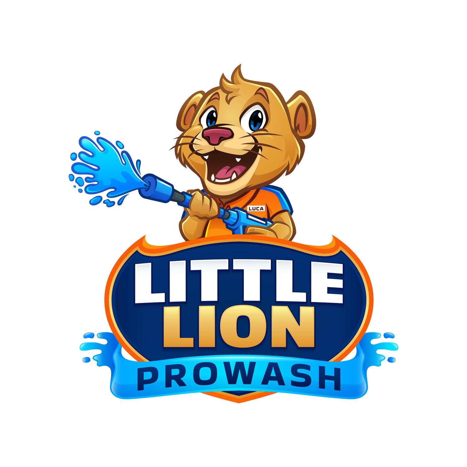 Little Lion ProWash