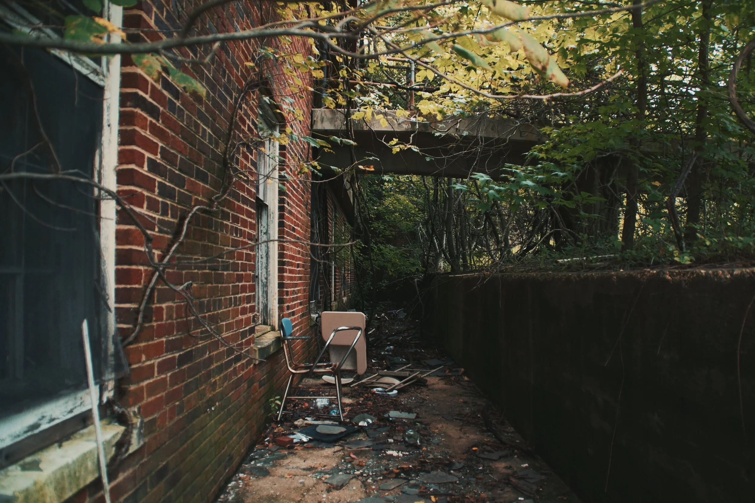narrow path_1504023892087.jpg