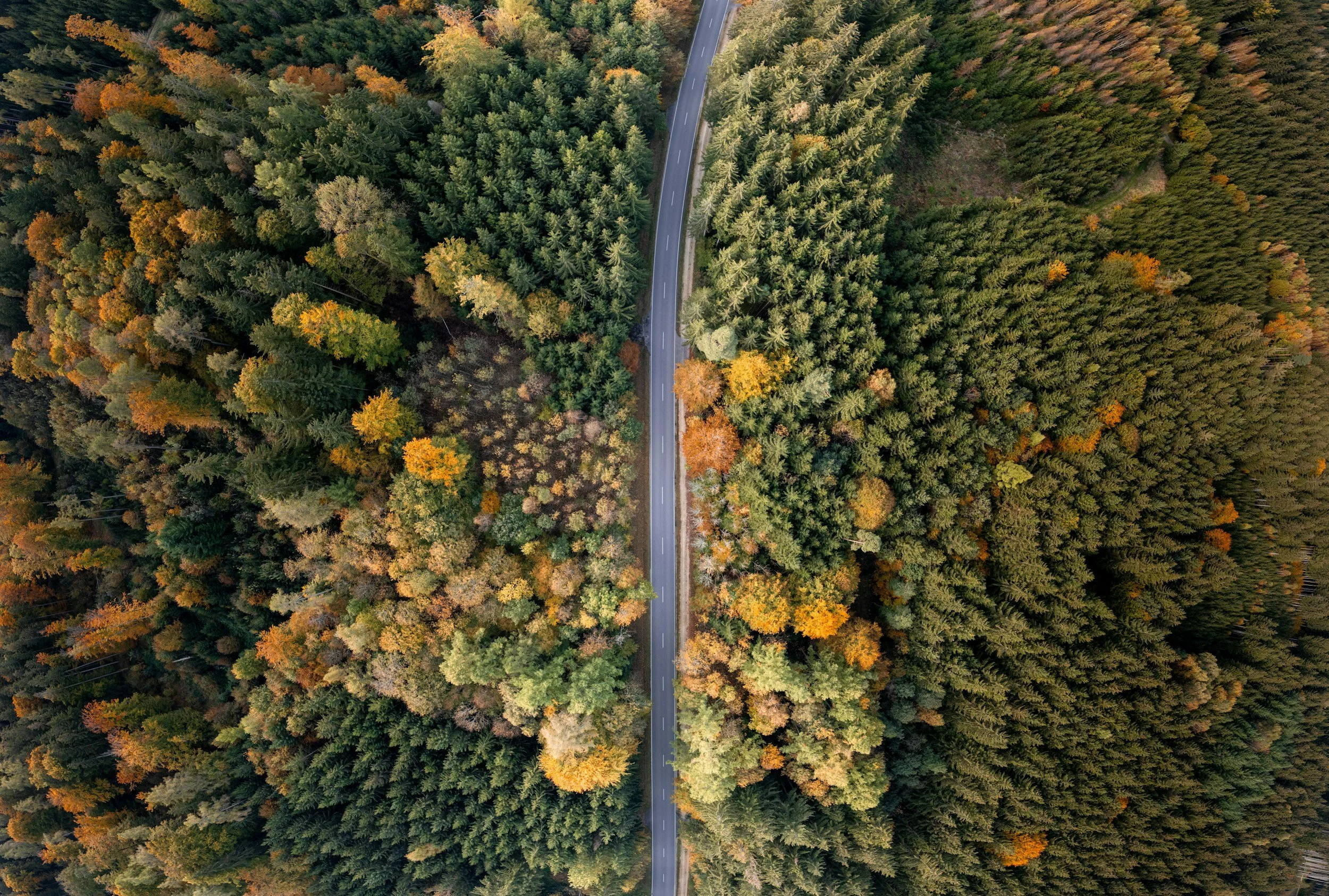 Aerial view of a road winding through autumn forest, representing the strategic path to a successful capital raise.