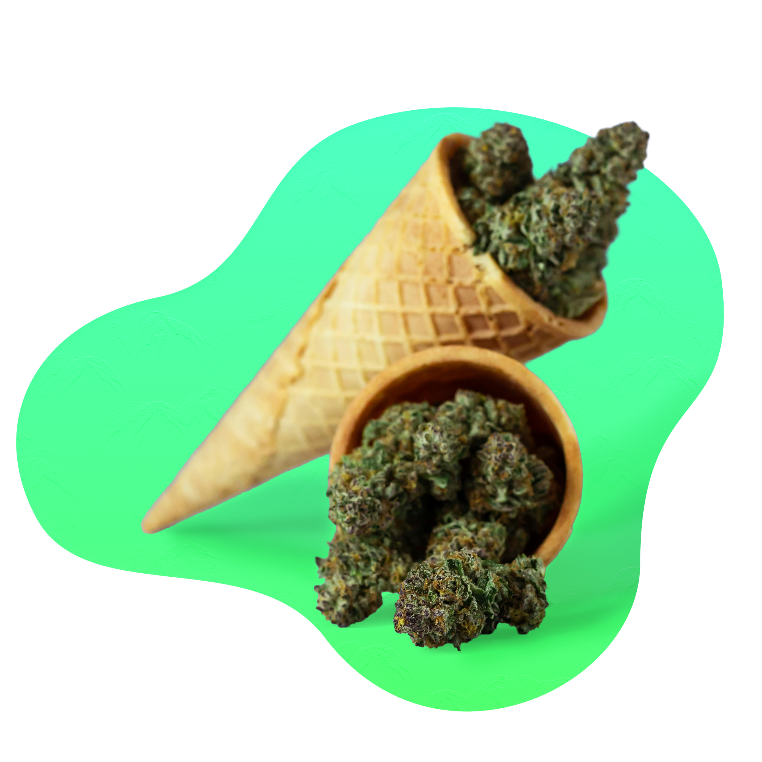 Hemp Flower Products