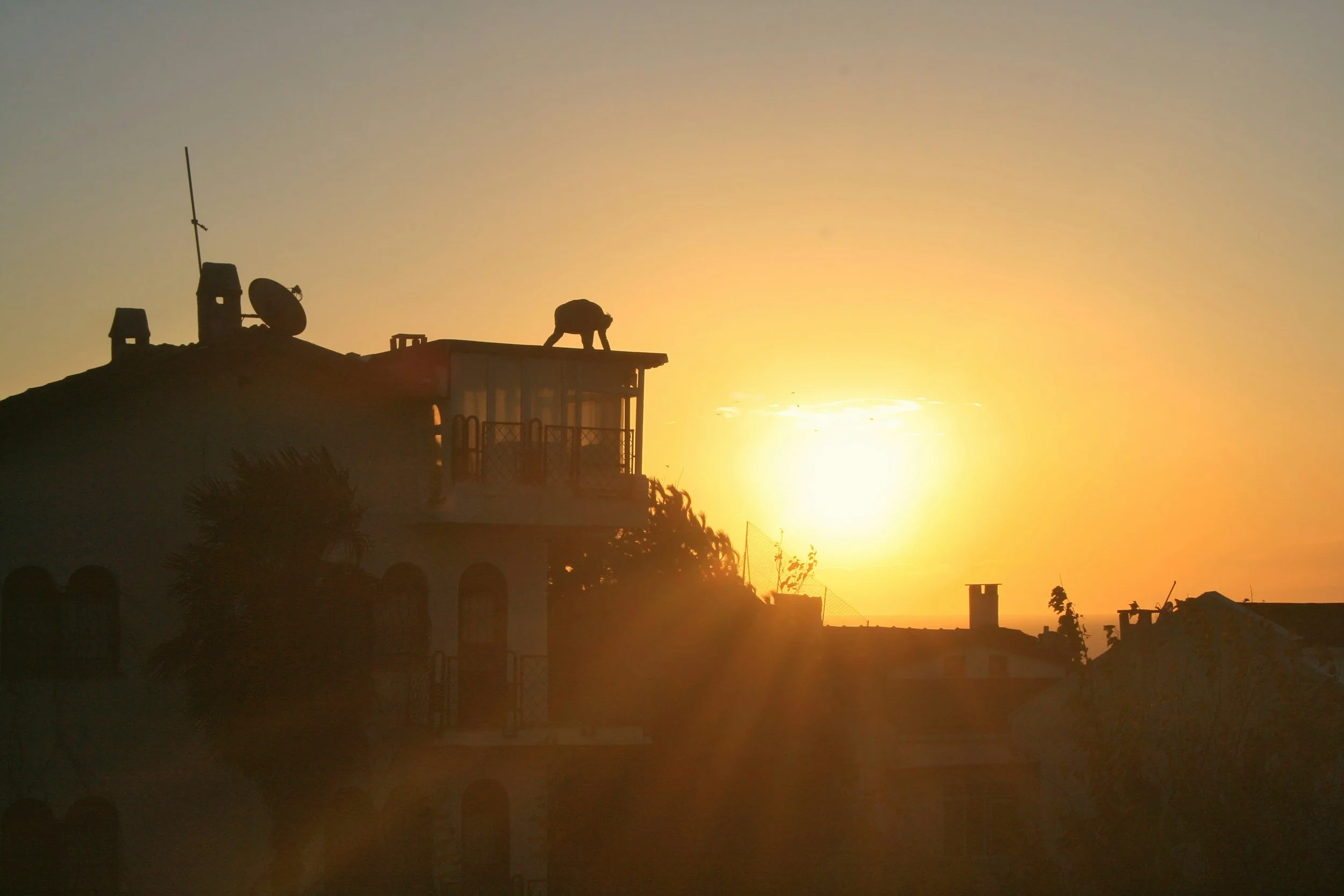 Silhouette of a person on a rooftop at sunset, with antennas and satellite dishes visible on the rooftop, and the sun setting behind the horizon.