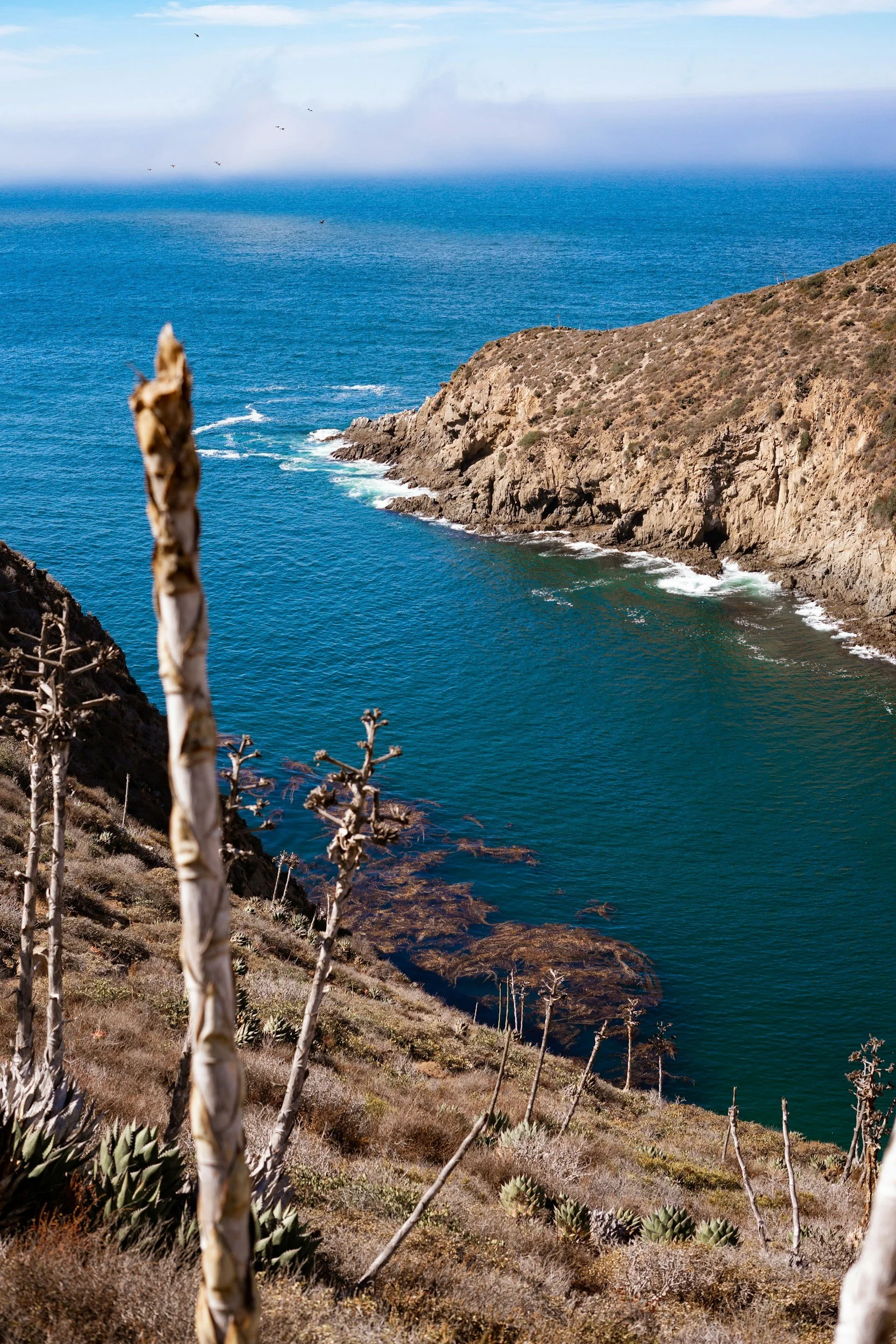 Vista de una costa rocosa con vegetación seca delante del océano azul, con azul cielo y algunas nubes en el horizonte.