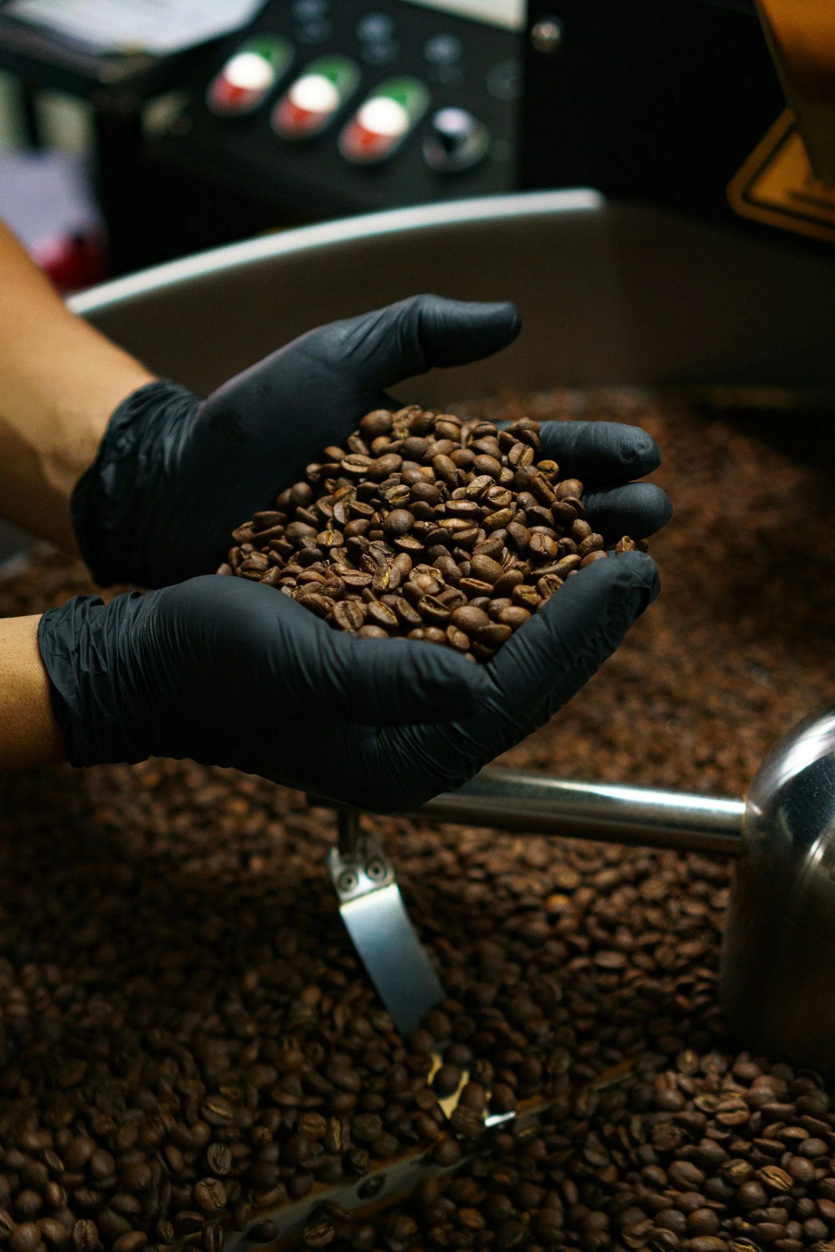 Manos con guantes negros sosteniendo granos de café en una máquina de procesamiento de café.