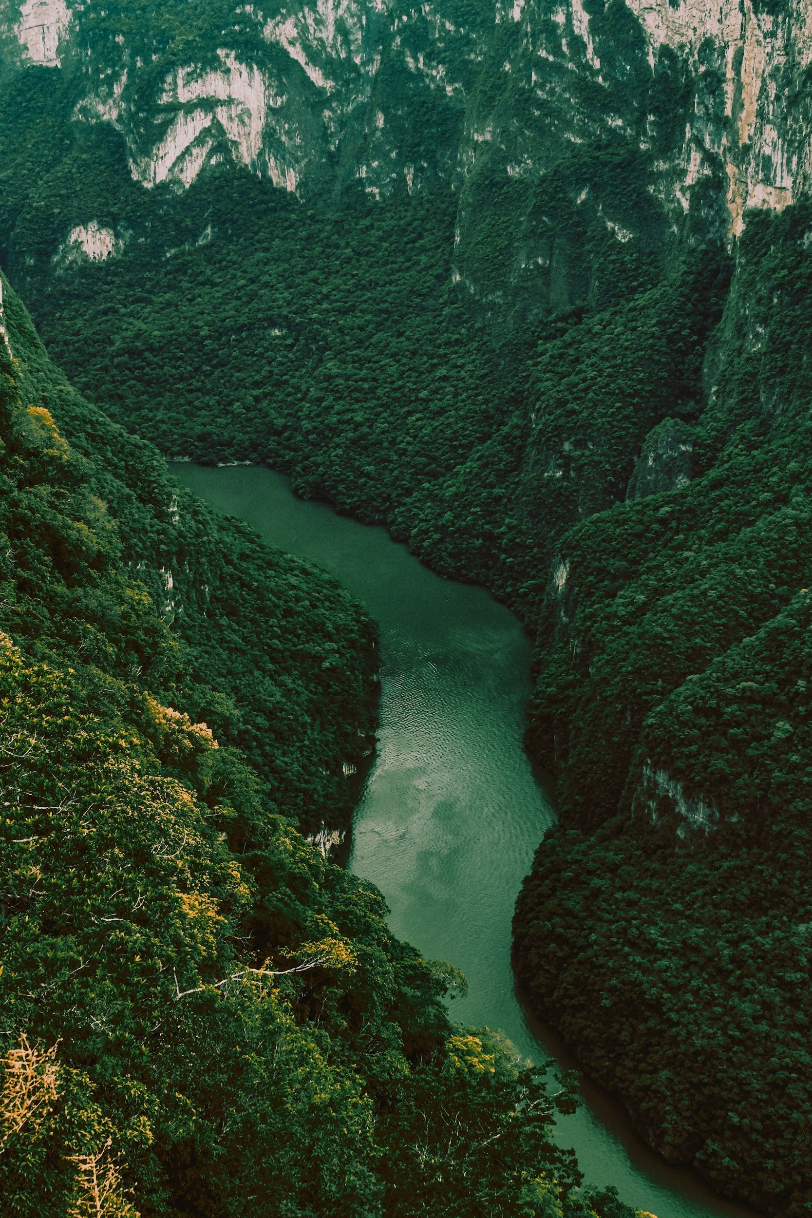 Vista aérea de un cañón del sumidero con un río en el fondo, rodeado de altas paredes rocosas cubiertas de vegetación.