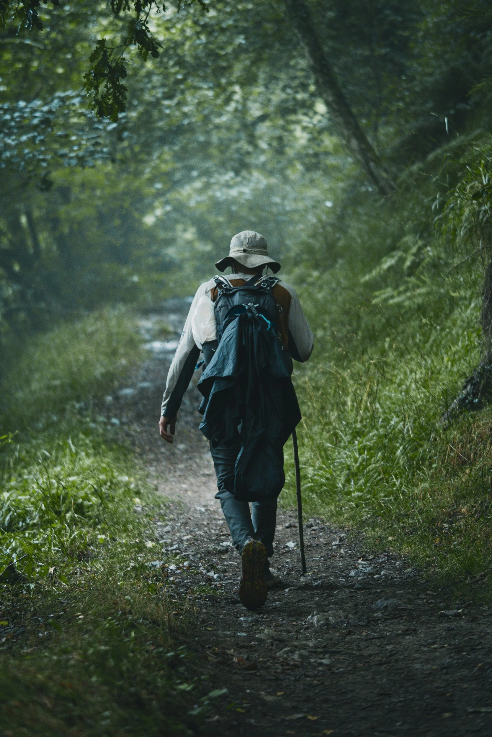 Persona caminando el camino De Santiago por un sendero en un bosque con y mochila.