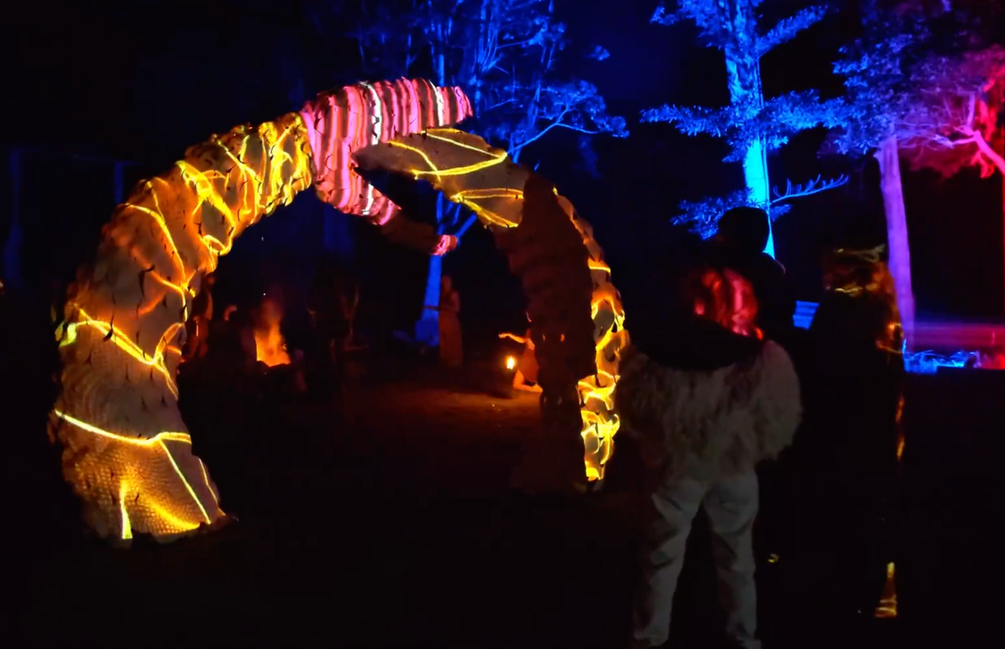 People gathered around a Halloween display featuring illuminated figures, including a large pumpkin and a skeleton, in a forested area at night with trees lit in blue, pink, and purple lights.
