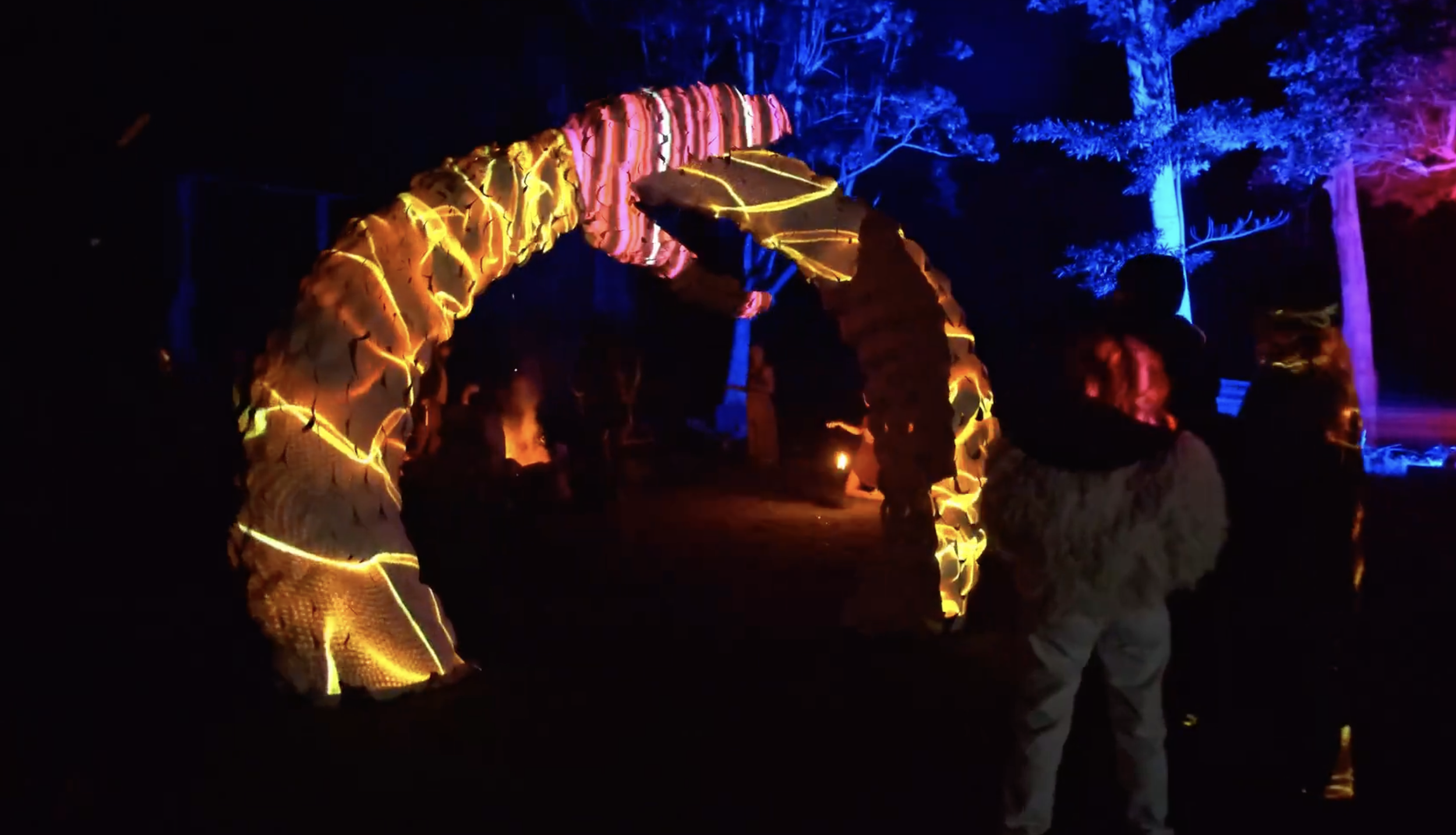 People dressed in glowing, illuminated costumes walking through a dark, outdoor forest setting with trees lit in vibrant blue and purple lights.