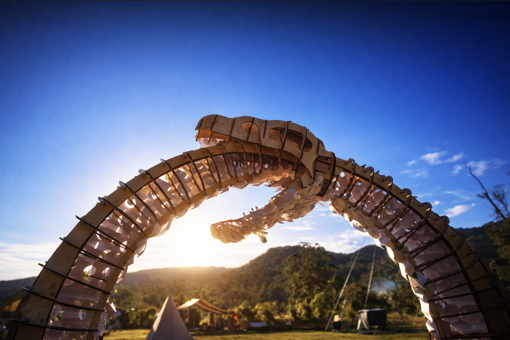 Modular timber public art large wooden dragon sculpture arching over a grassy area with tents and trees in the background during sunset or sunrise.  