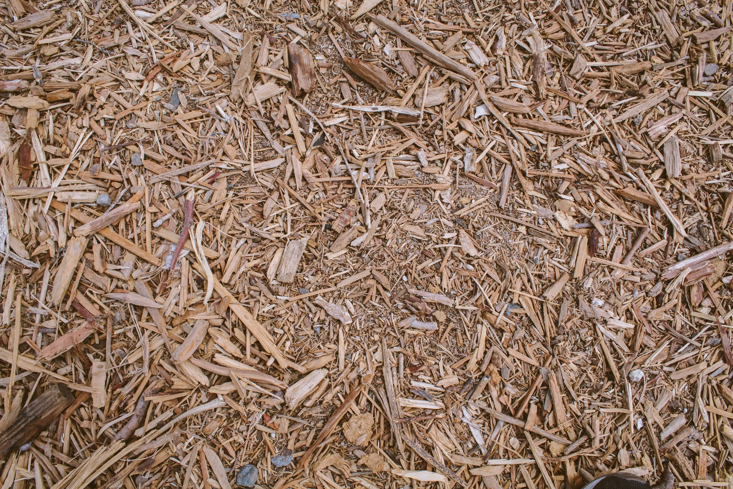 Close-up of a pile of small, broken wood chips and bark.