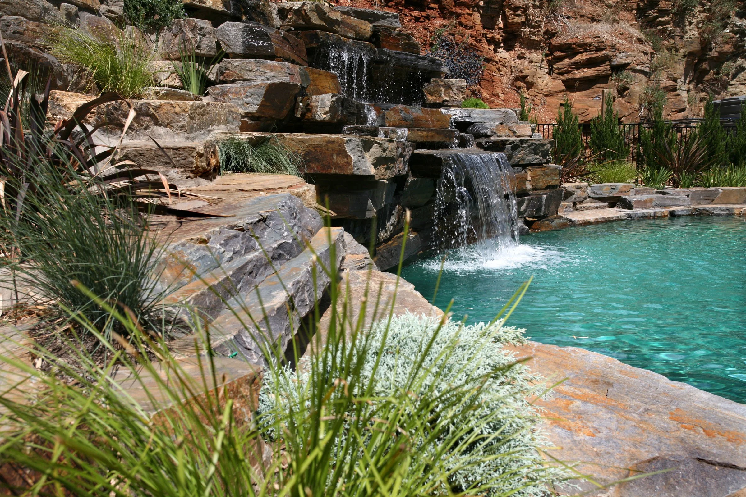 Waterfall Gully_0088.jpg