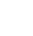 MLS logo with a stylized white flower and leaves on a black background.